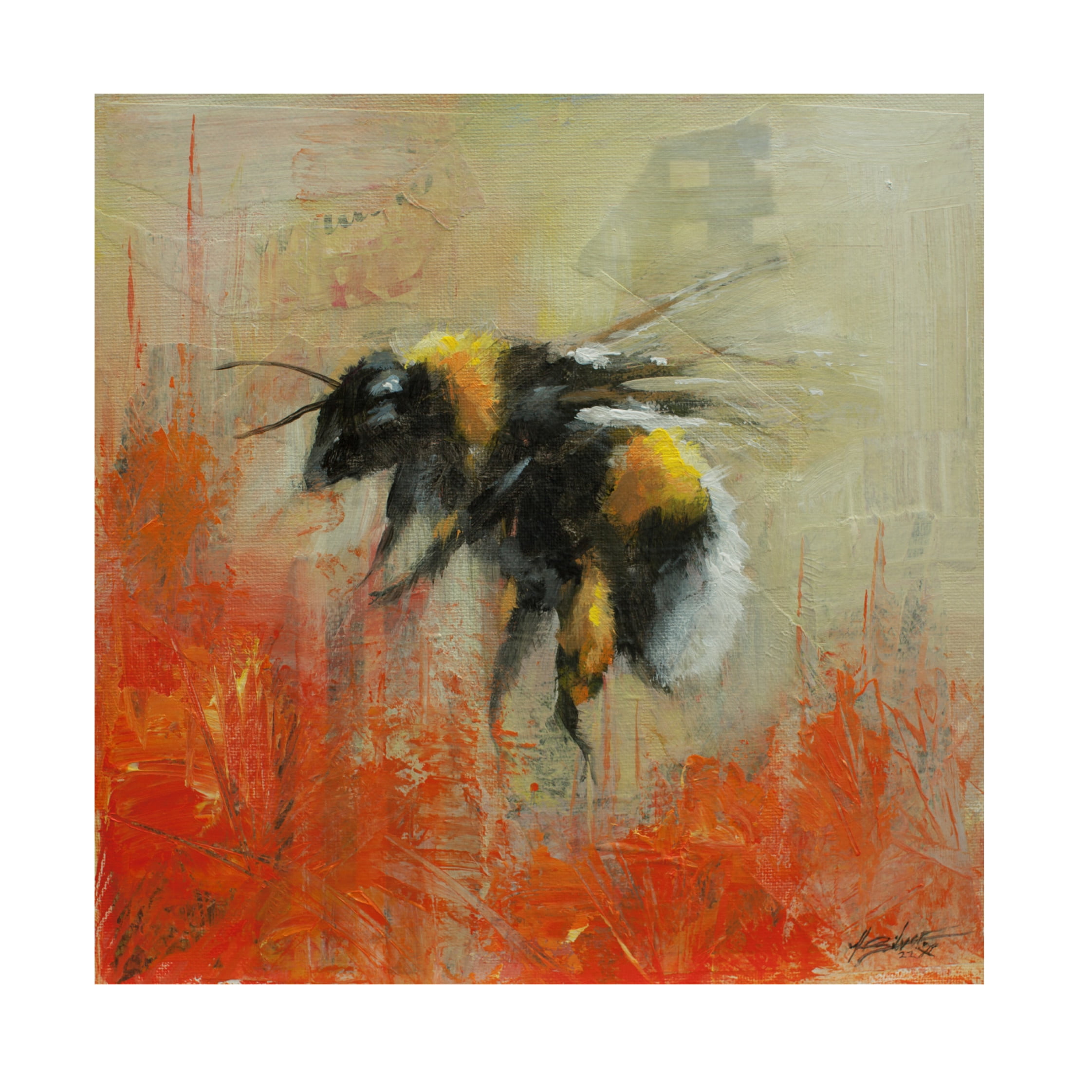 Canvas Wall Art - John Silver 'Bumblebee 2' Wall Art for Living Room, Bedroom, or Office Décor by Trademark Fine Art - 24 x 24 Inches
