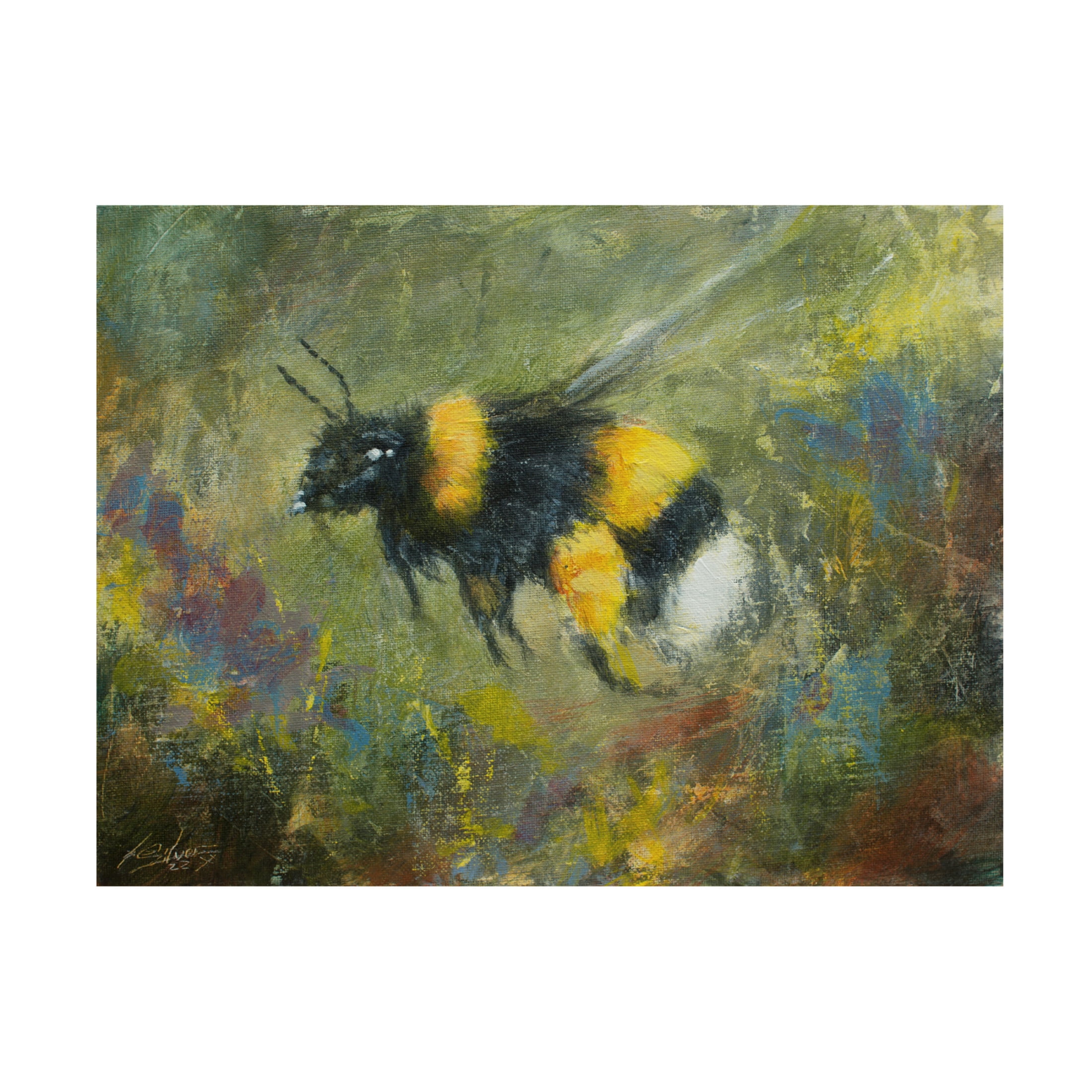 Canvas Wall Art - John Silver 'Bumblebee 3' Wall Art for Living Room, Bedroom, or Office Décor by Trademark Fine Art - 24 x 18 Inches