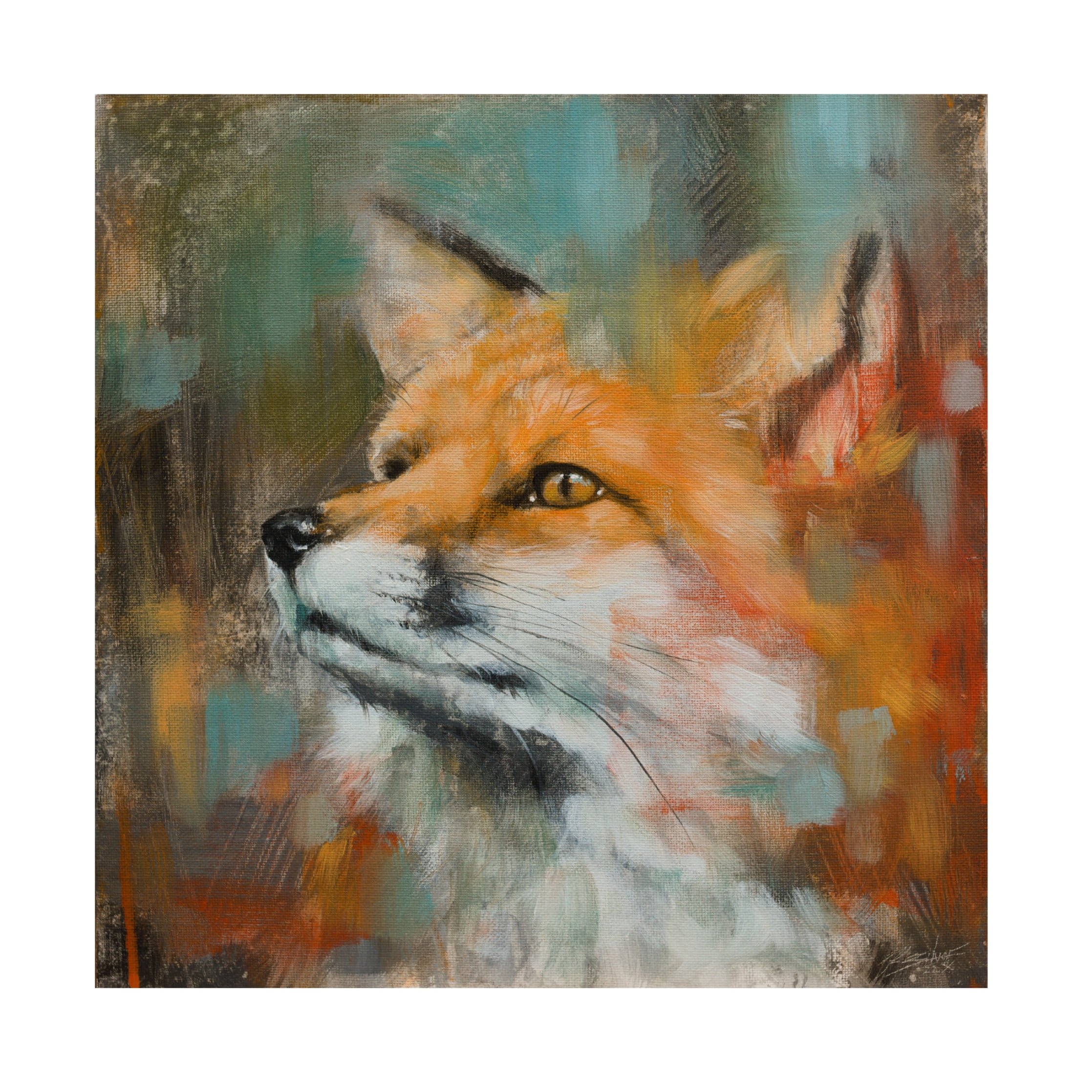 Canvas Wall Art - John Silver 'Fox' Wall Art for Living Room, Bedroom, or Office Décor by Trademark Fine Art - 24 x 24 Inches