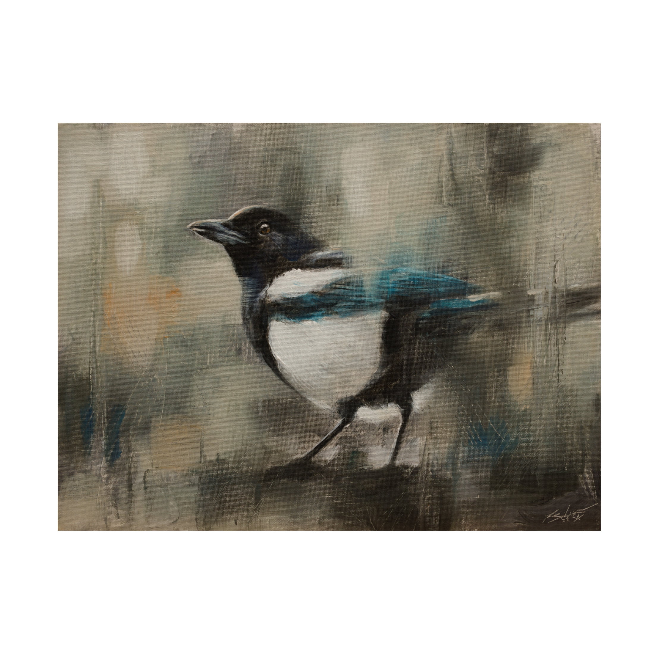 Canvas Wall Art - John Silver 'Magpie' Wall Art for Living Room, Bedroom, or Office Décor by Trademark Fine Art - 24 x 18 Inches