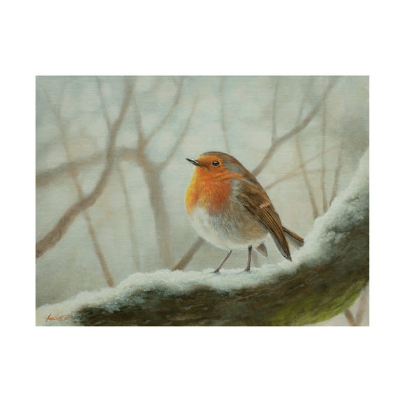 Canvas Wall Art - John Silver 'Robin in Landscape' Wall Art for Living Room, Bedroom, or Office Décor by Trademark Fine Art - 19 x 14 Inches