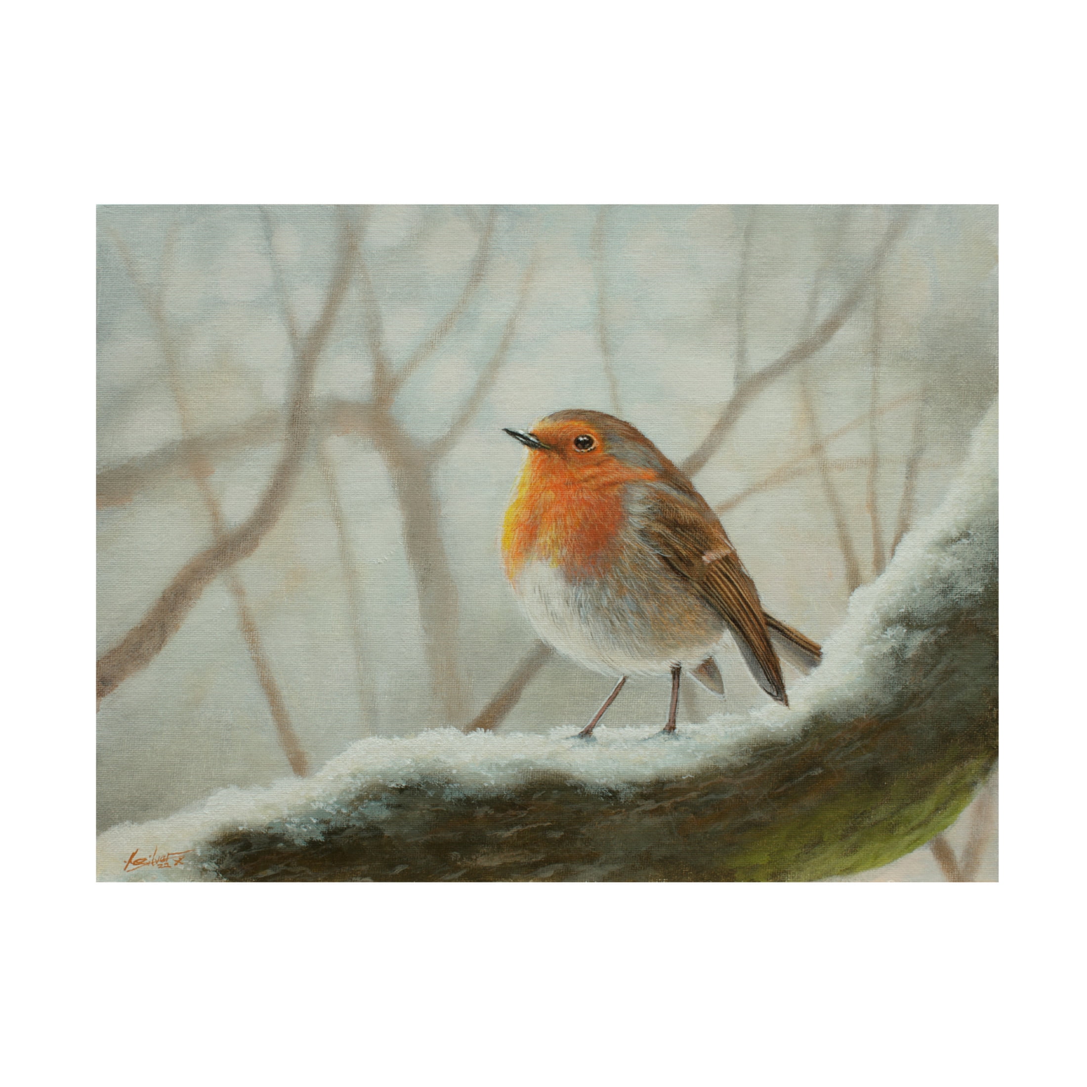 Canvas Wall Art - John Silver 'Robin in Landscape' Wall Art for Living Room, Bedroom, or Office Décor by Trademark Fine Art - 47 x 35 Inches