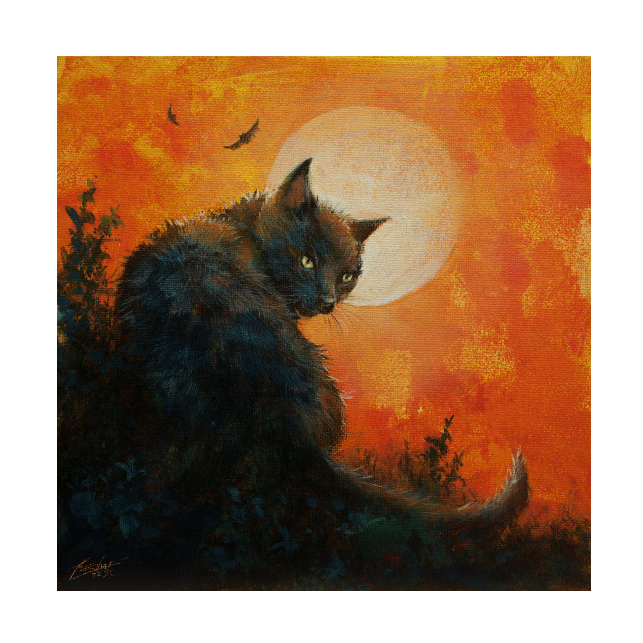 Canvas Wall Art - John Silver 'W1065 Cat and Moon (L)' Wall Art for Living Room, Bedroom, or Office Décor by Trademark Fine Art - 35 x 35 Inches