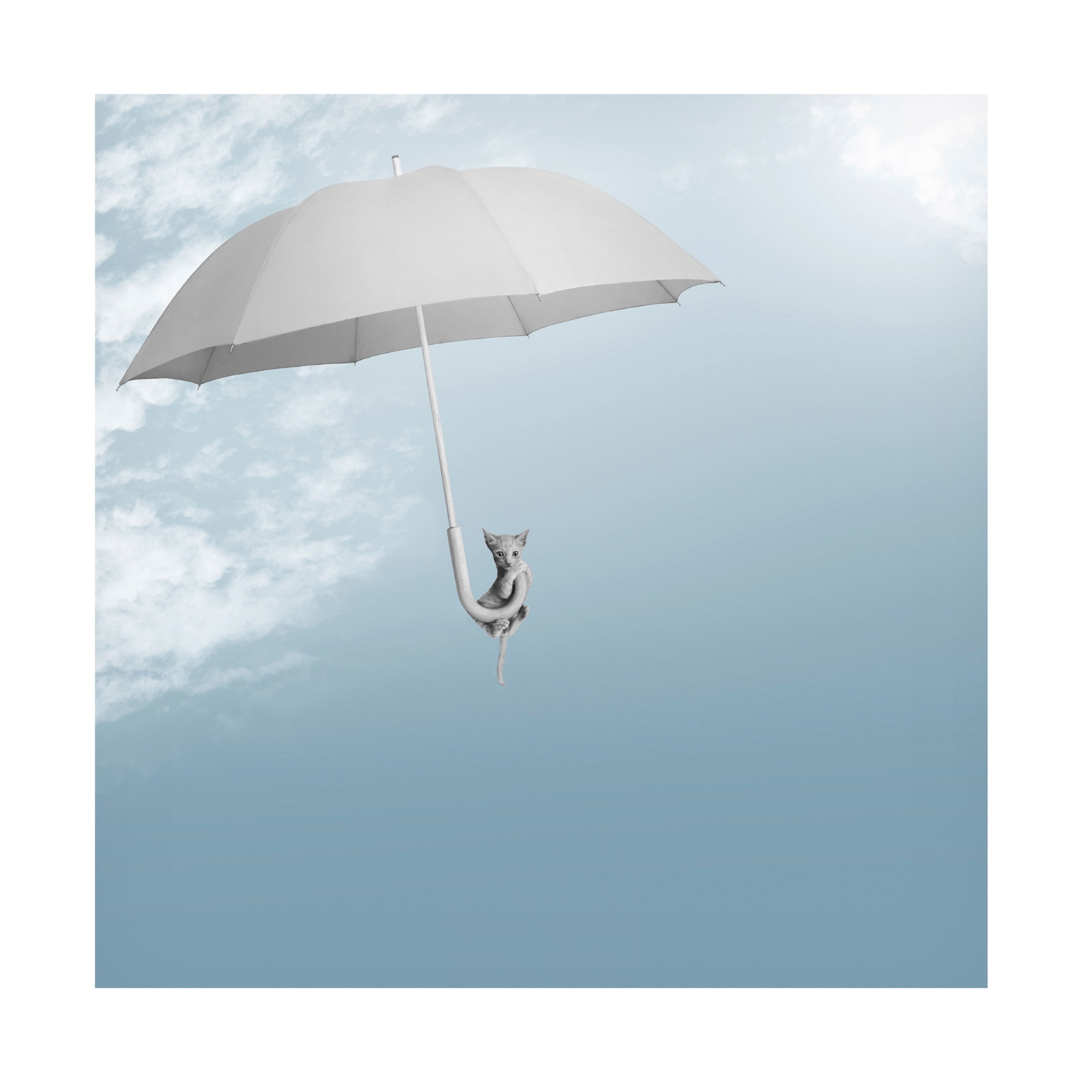 Canvas Wall Art - Jon Bertelli 'Riding The Skies' Wall Art for Living Room, Bedroom, or Office Décor by Trademark Fine Art - 35 x 35 Inches