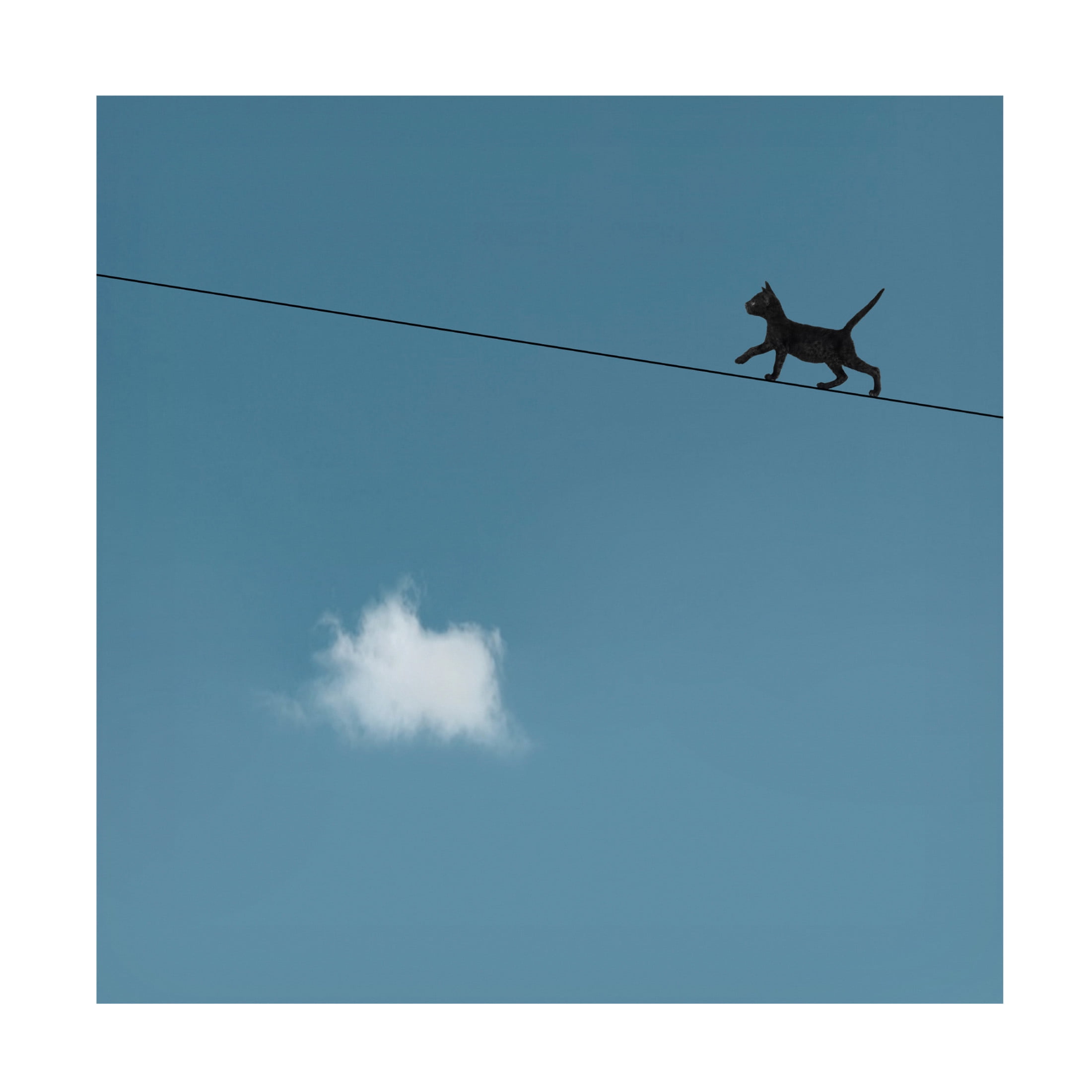 Canvas Wall Art - Jon Bertelli 'Walk The Line' Wall Art for Living Room, Bedroom, or Office Décor by Trademark Fine Art - 14 x 14 Inches