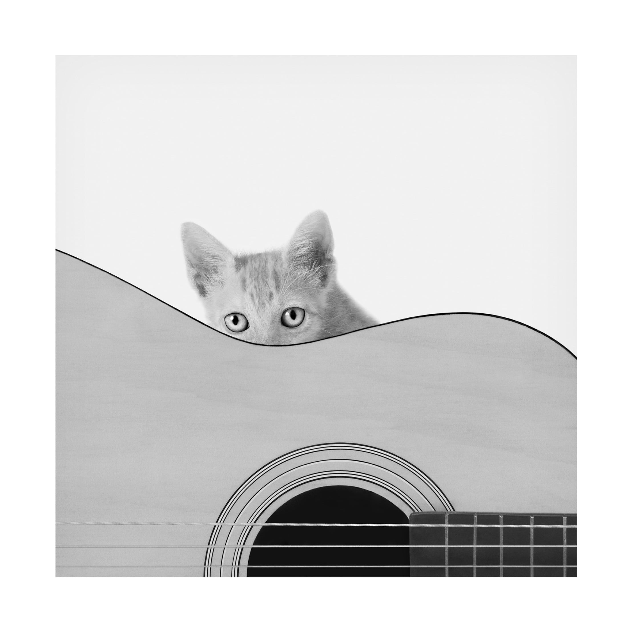 Canvas Wall Art - Jon Bertelli 'Whiskers and Strings' Wall Art for Living Room, Bedroom, or Office Décor by Trademark Fine Art - 35 x 35 Inches