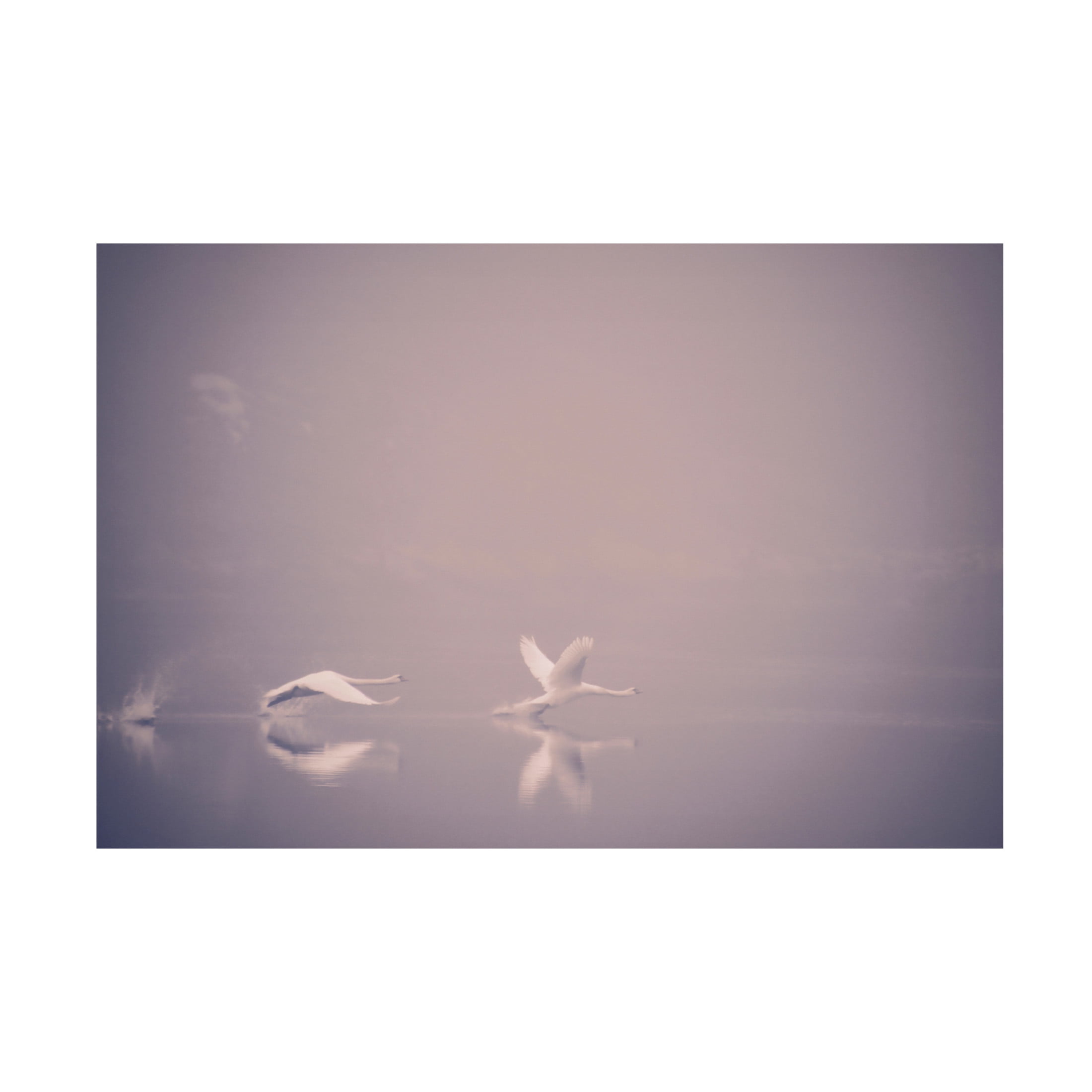 Canvas Wall Art - Jonas Dalheim 'Foggy Takeoff' Wall Art for Living Room, Bedroom, or Office Décor by Trademark Fine Art - 32 x 22 Inches