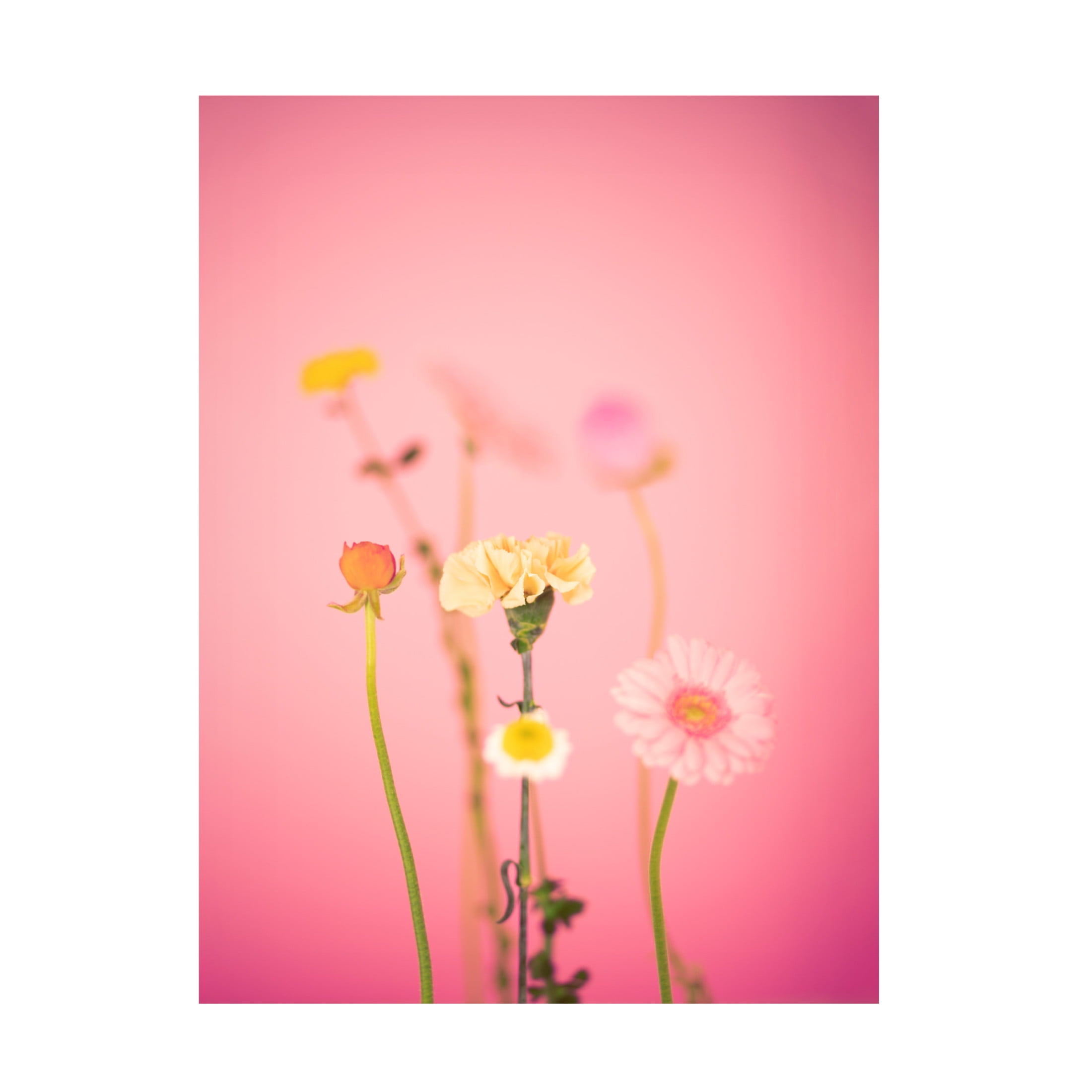 Canvas Wall Art - Julia Ramiro 'Desenfocar Copia' Wall Art for Living Room, Bedroom, or Office D?cor by Trademark Fine Art - 18 x 24 Inches