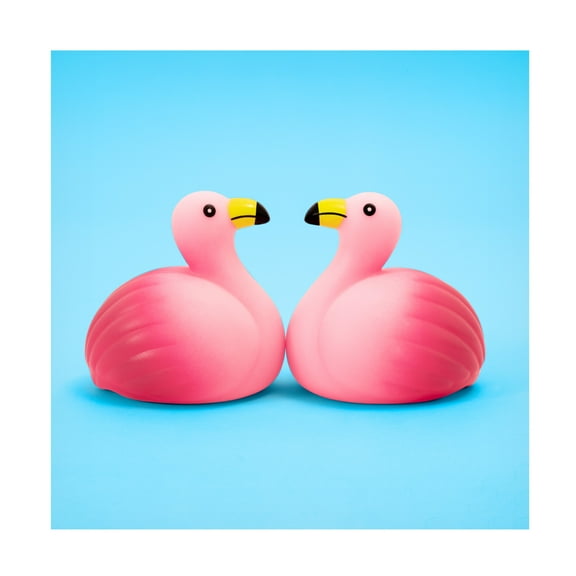 Canvas Wall Art - Julia Ramiro 'Flamencos.4' Wall Art for Living Room, Bedroom, or Office Décor by Trademark Fine Art - 14 x 14 Inches