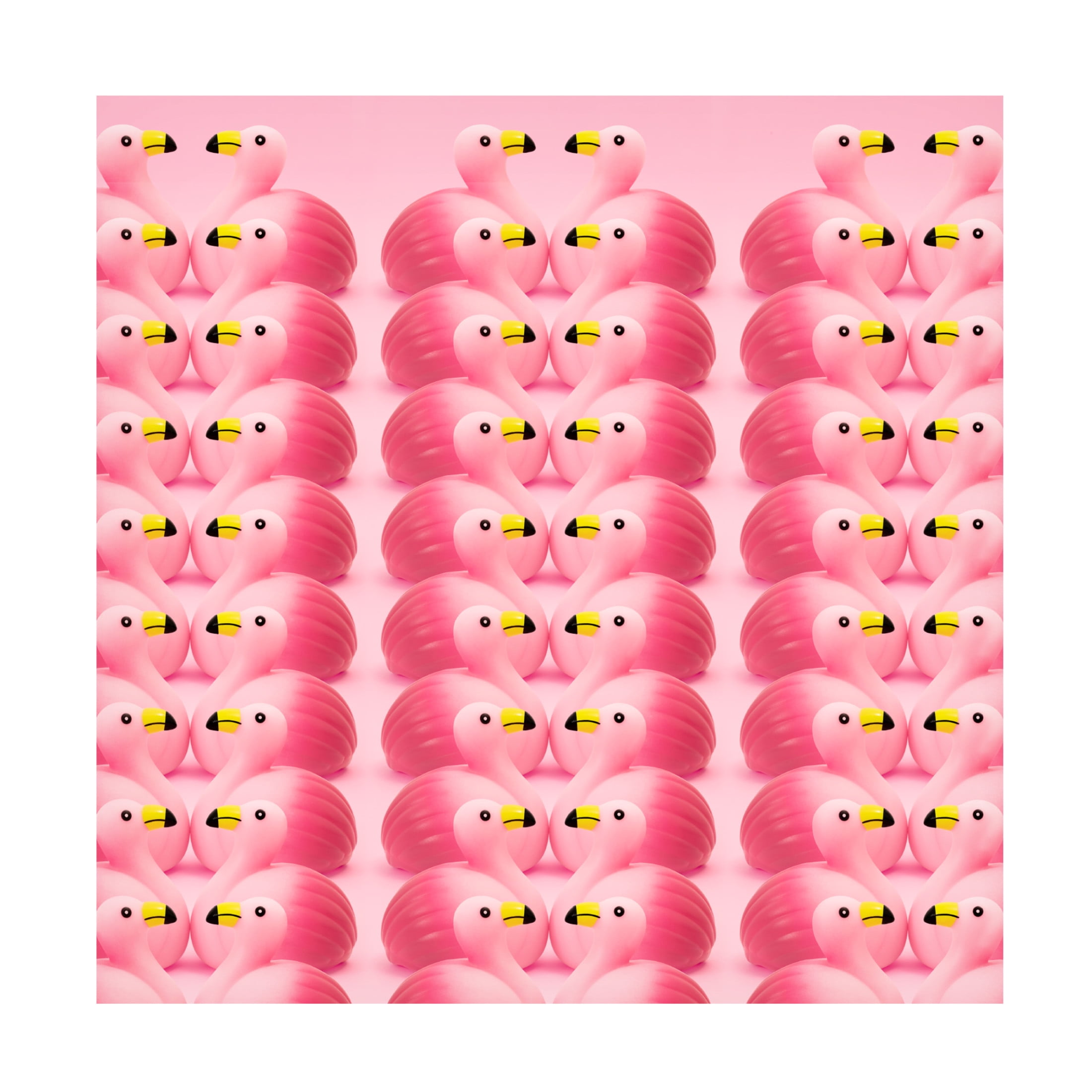 Canvas Wall Art - Julia Ramiro 'Flamencos.5' Wall Art for Living Room, Bedroom, or Office Décor by Trademark Fine Art - 24 x 24 Inches