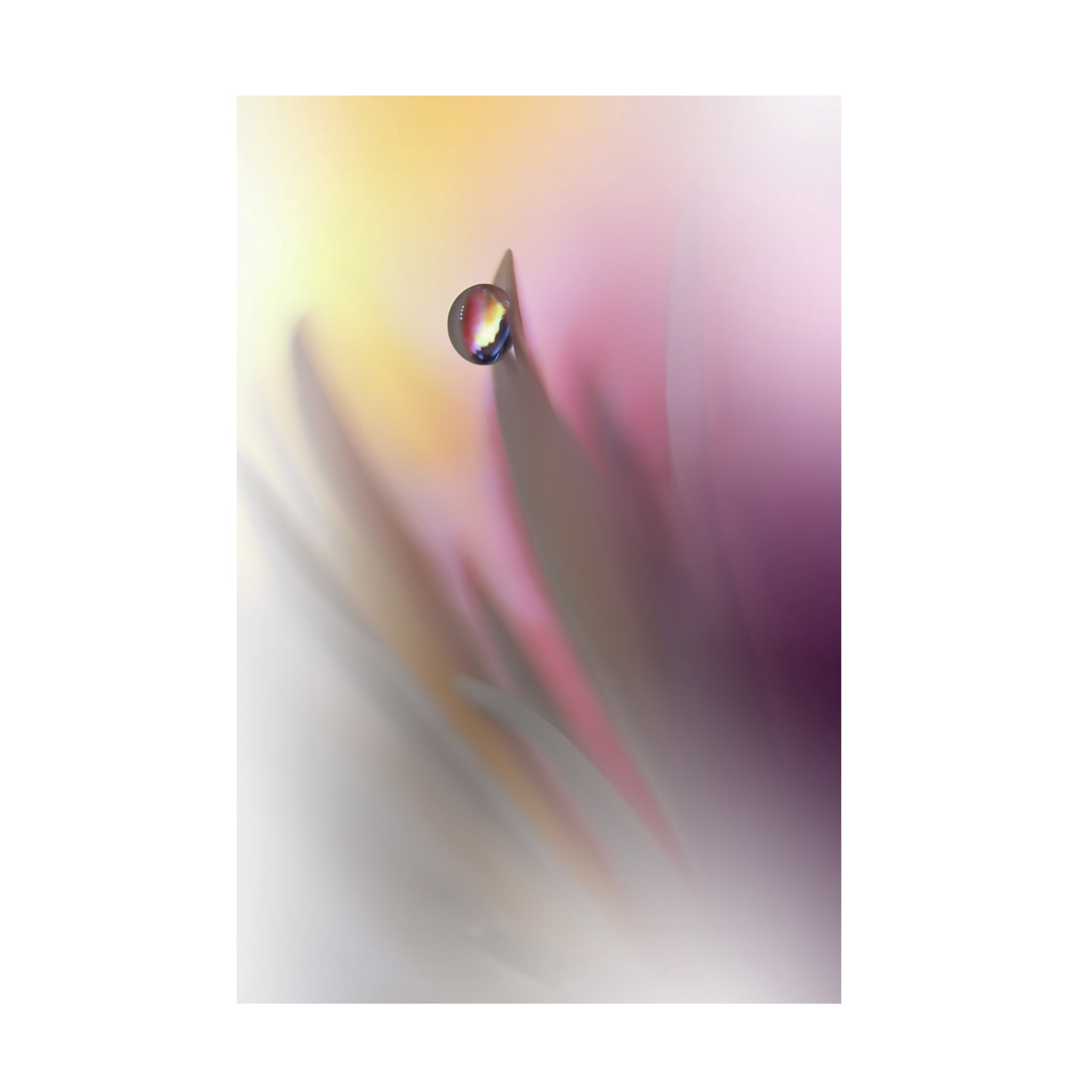 Canvas Wall Art - Juliana Nan 'Abstract Illusion ' Wall Art for Living Room, Bedroom, or Office Décor by Trademark Fine Art - 16 x 24 Inches