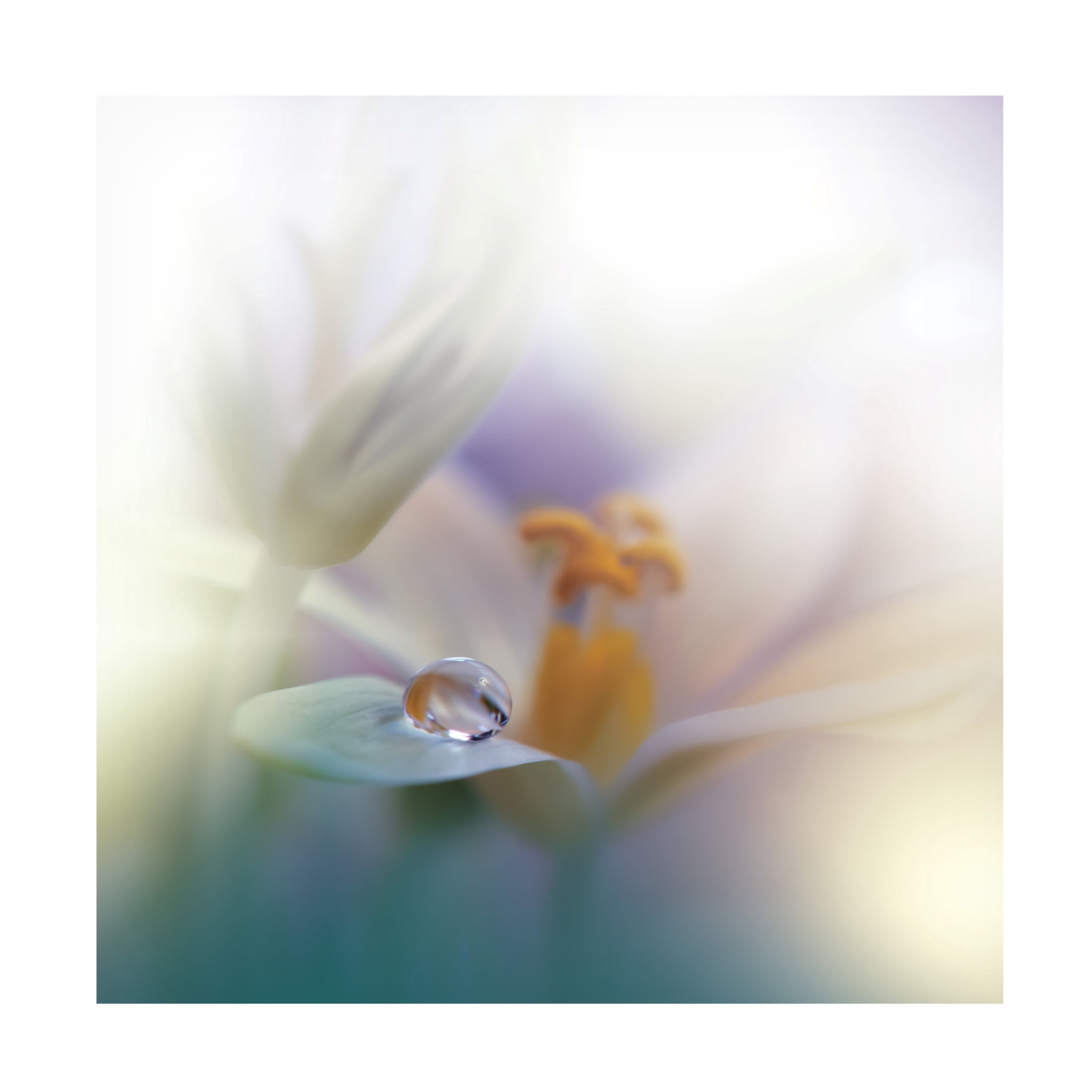 Canvas Wall Art - Juliana Nan 'All Of Me ' Wall Art for Living Room, Bedroom, or Office D?cor by Trademark Fine Art - 35 x 35 Inches