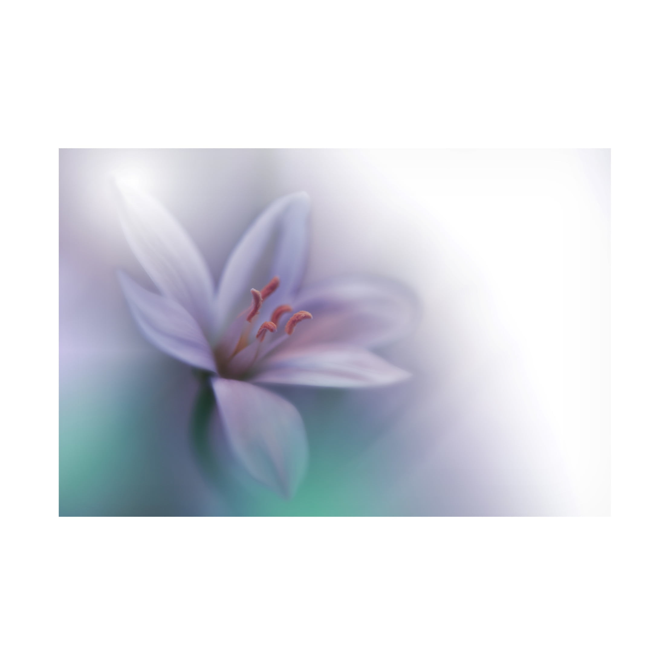 Canvas Wall Art - Juliana Nan 'Beyond ' Wall Art for Living Room, Bedroom, or Office D?cor by Trademark Fine Art - 24 x 16 Inches