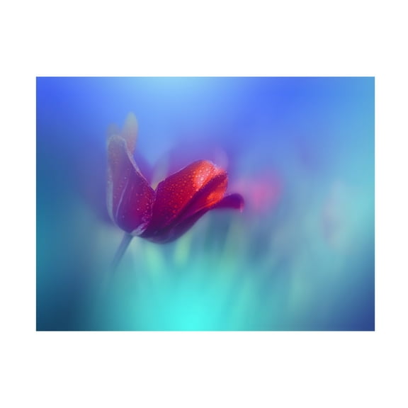 Canvas Wall Art - Juliana Nan 'Springtime ' Wall Art for Living Room, Bedroom, or Office D?cor by Trademark Fine Art - 19 x 14 Inches