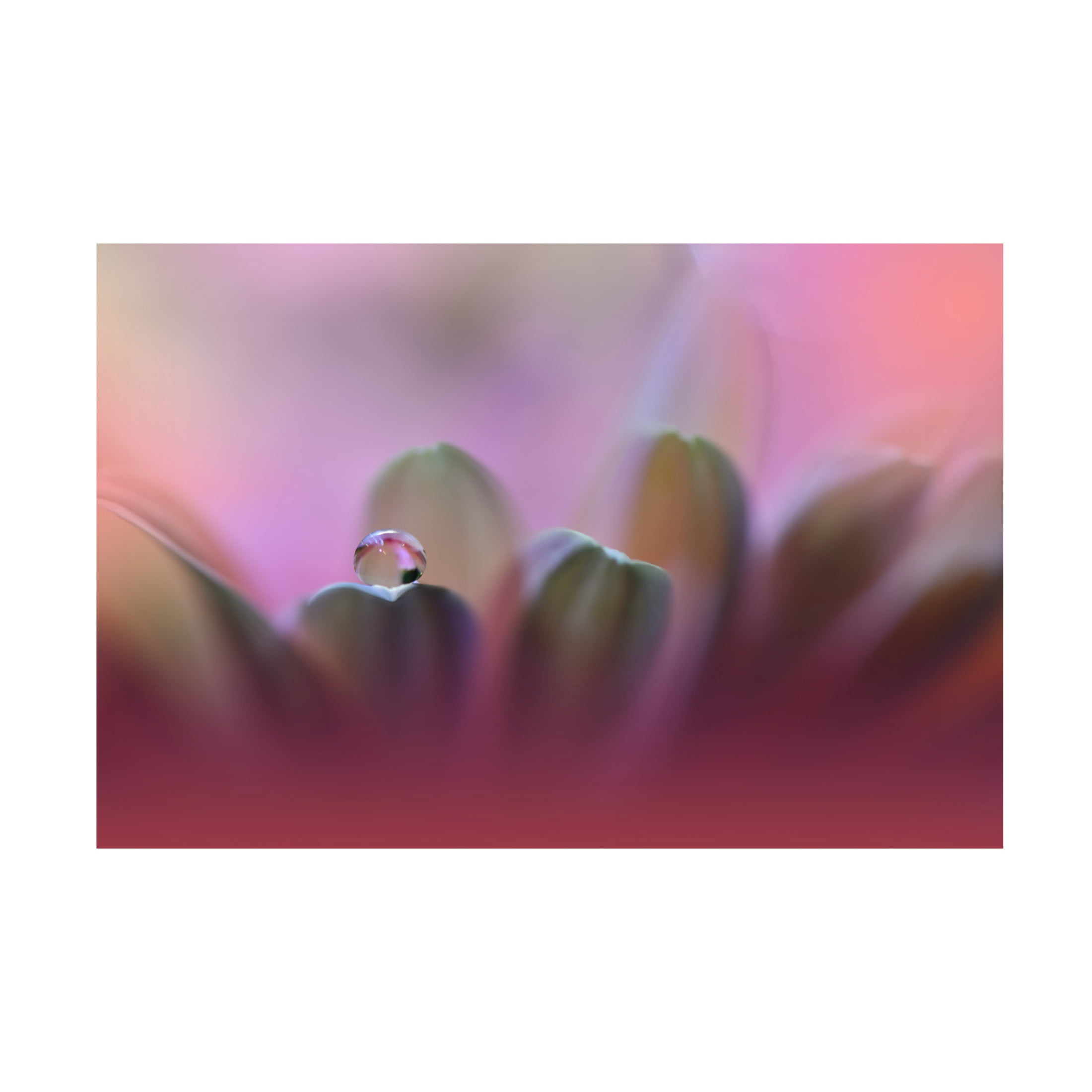 Canvas Wall Art - Juliana Nan 'Untitled' Wall Art for Living Room, Bedroom, or Office Décor by Trademark Fine Art - 32 x 22 Inches