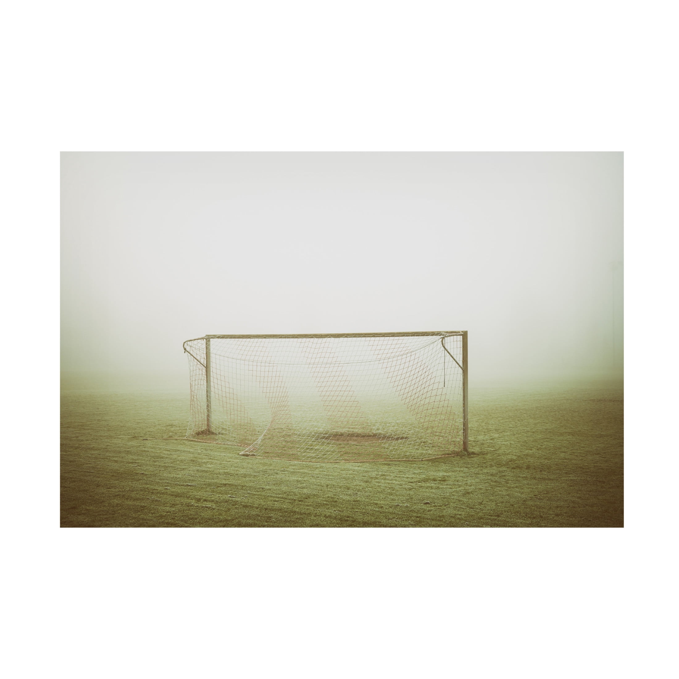 Canvas Wall Art - Jurgen Hartlieb 'Fog Play' Wall Art for Living Room, Bedroom, or Office Décor by Trademark Fine Art - 24 x 16 Inches