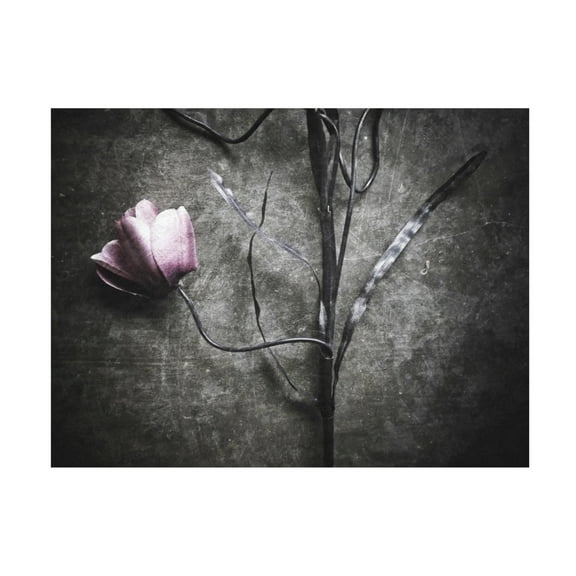 Canvas Wall Art - Kahar Lagaa 'Lonely' Wall Art for Living Room, Bedroom, or Office D?cor by Trademark Fine Art - 19 x 14 Inches