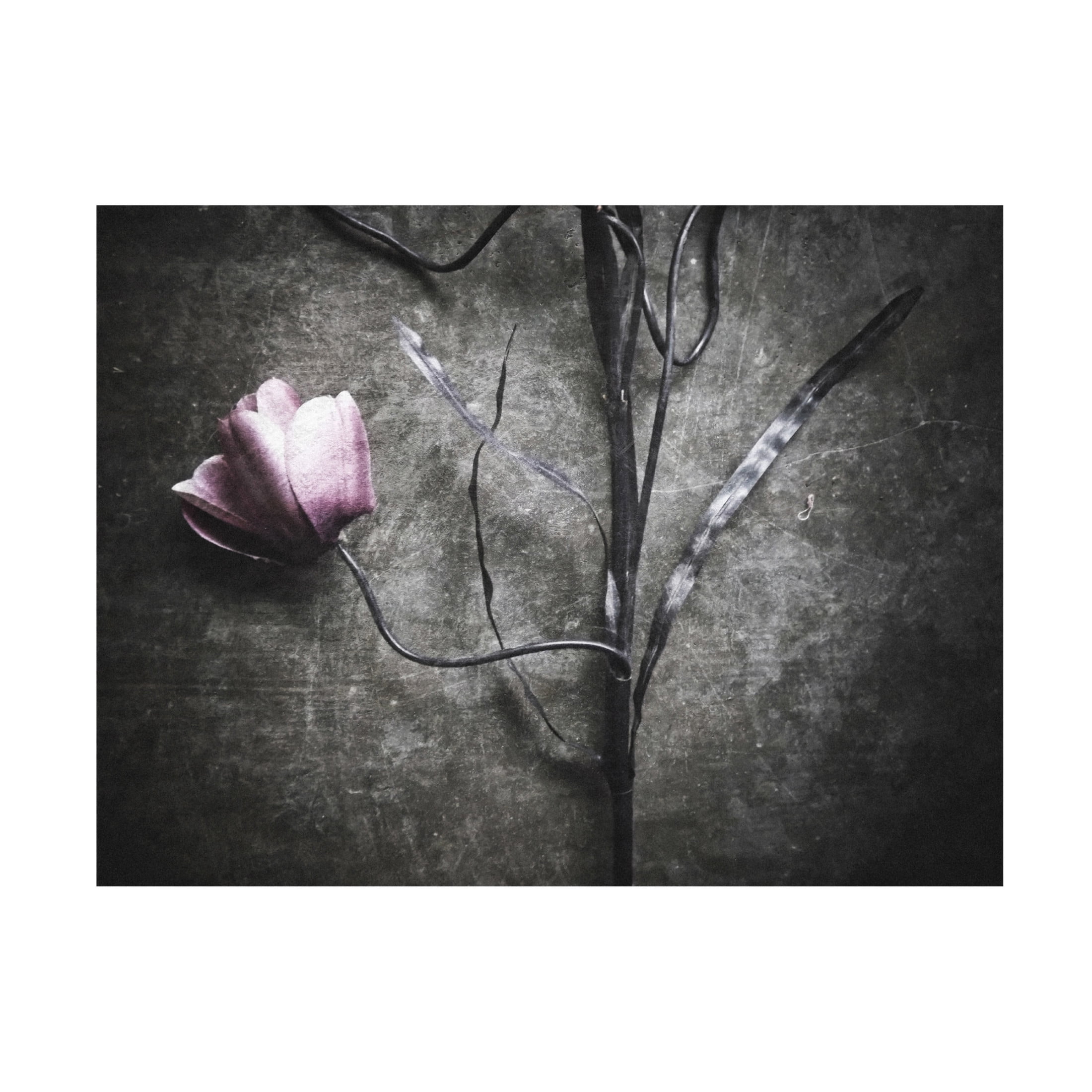 Canvas Wall Art - Kahar Lagaa 'Lonely' Wall Art for Living Room, Bedroom, or Office D?cor by Trademark Fine Art - 24 x 18 Inches