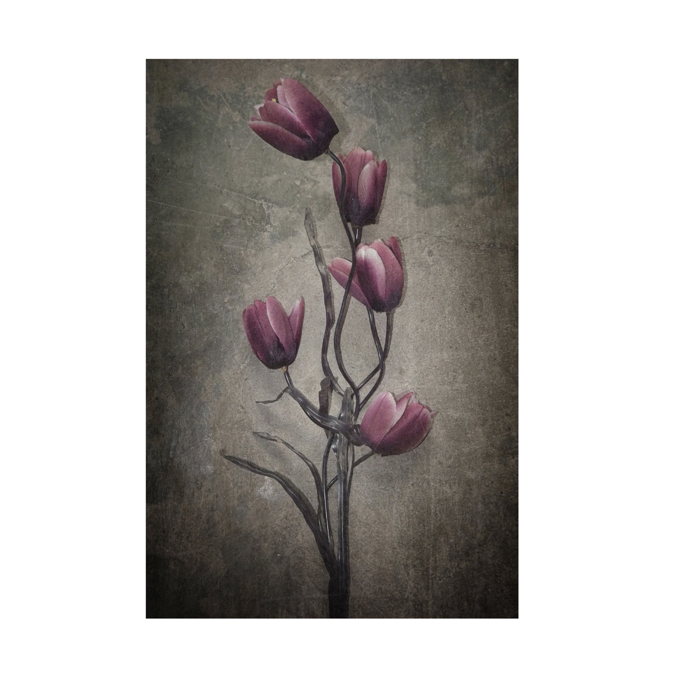 Canvas Wall Art - Kahar Lagaa 'You HavenT Seen The Last Of Me' Wall Art for Living Room, Bedroom, or Office D?cor by Trademark Fine Art - 22 x 32 Inches