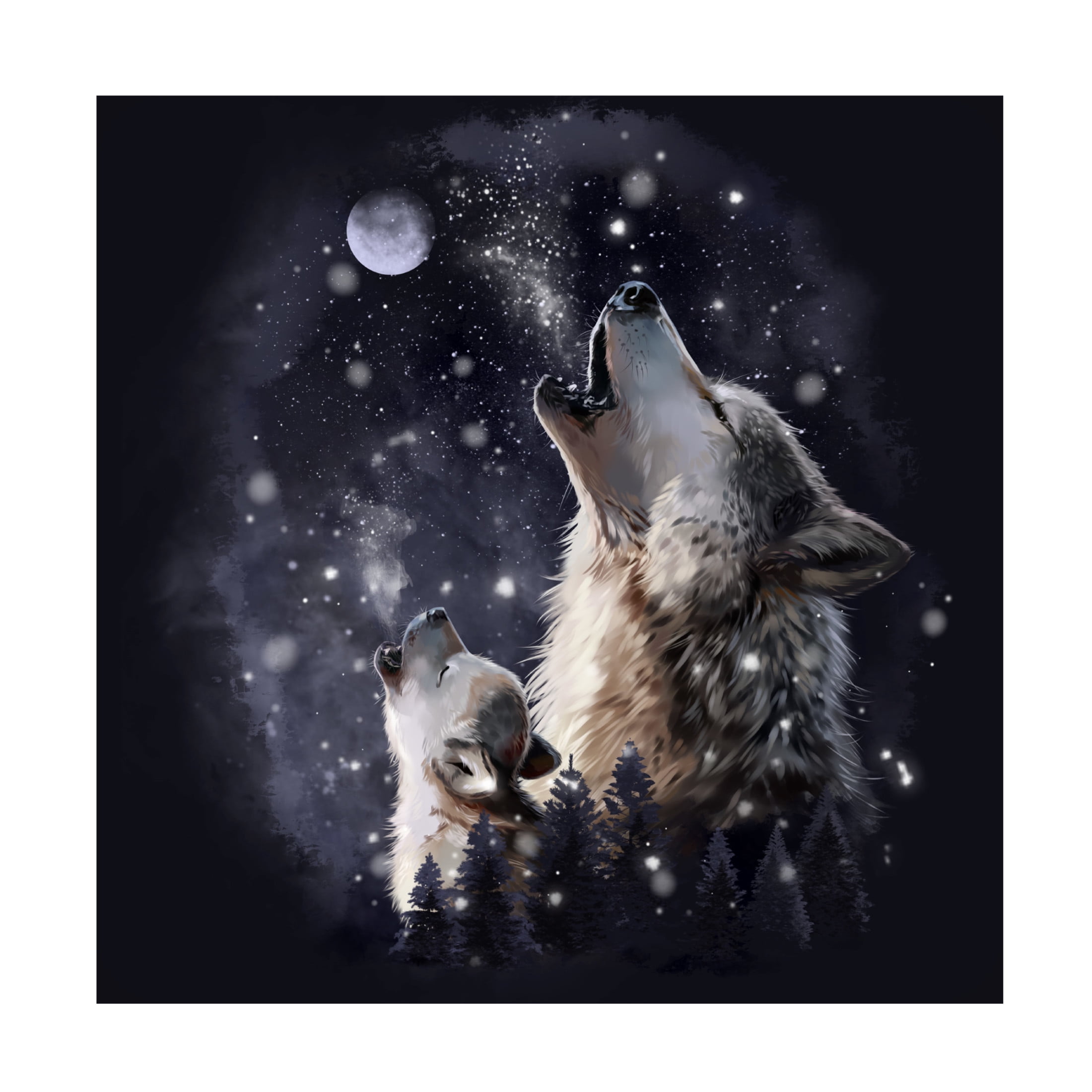 Canvas Wall Art - Kajenna Art '939 - Midnight Howl' Wall Art for Living Room, Bedroom, or Office Décor by Trademark Fine Art - 24 x 24 Inches