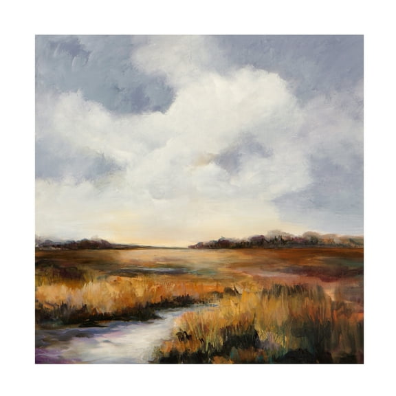 Canvas Wall Art - Karen Hale 'Amber Morn' Wall Art for Living Room, Bedroom, or Office Décor by Trademark Fine Art - 24 x 24 Inches