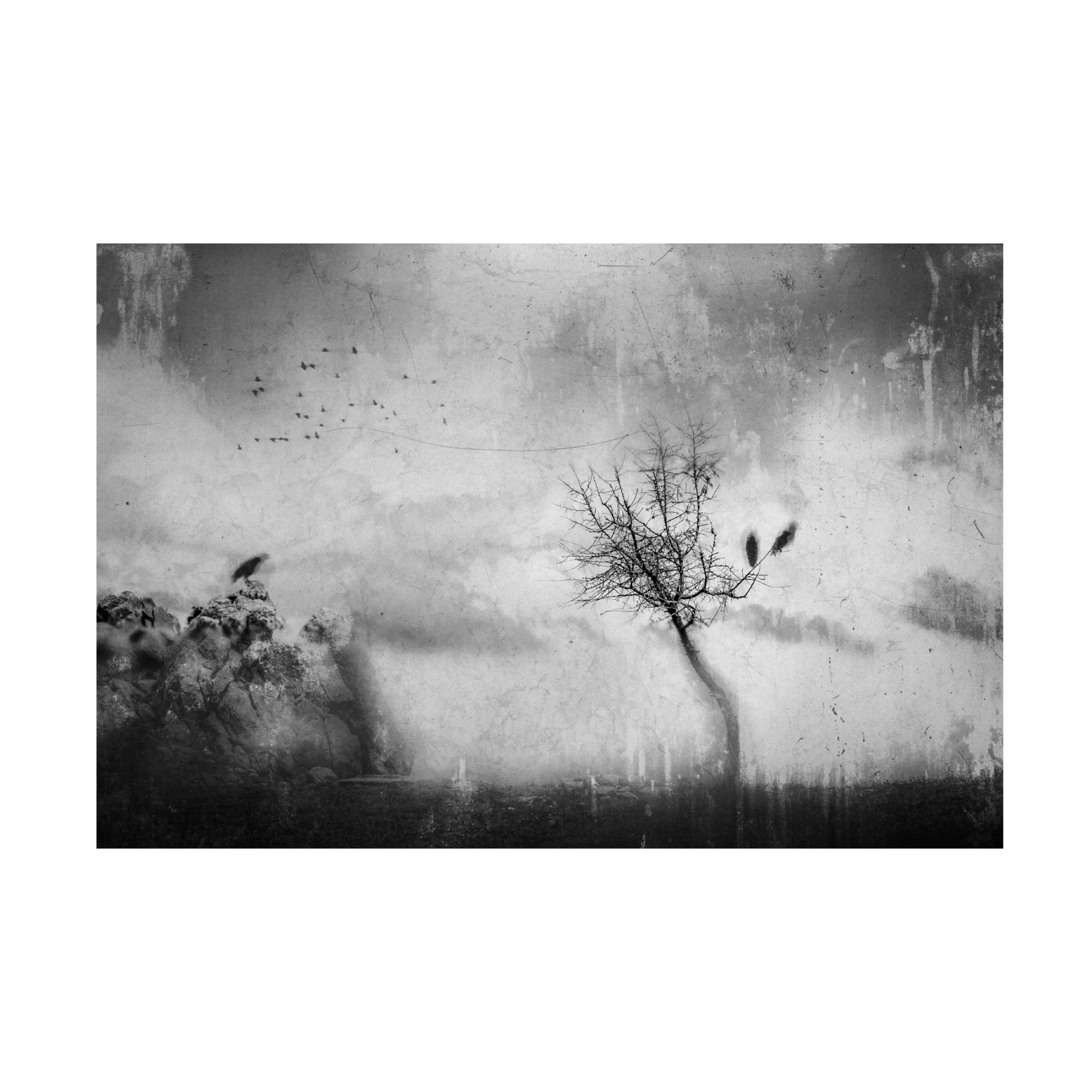 Canvas Wall Art - Katarina Holmstrom 'A Slowly Fading Memory' Wall Art for Living Room, Bedroom, or Office Décor by Trademark Fine Art - 19 x 12 Inches