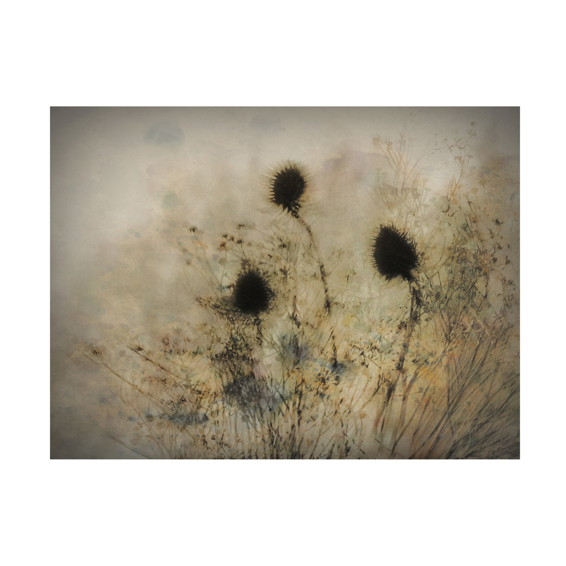 Canvas Wall Art - Katarina Holmstrom 'Seed Boxes' Wall Art for Living Room, Bedroom, or Office Décor by Trademark Fine Art - 32 x 24 Inches