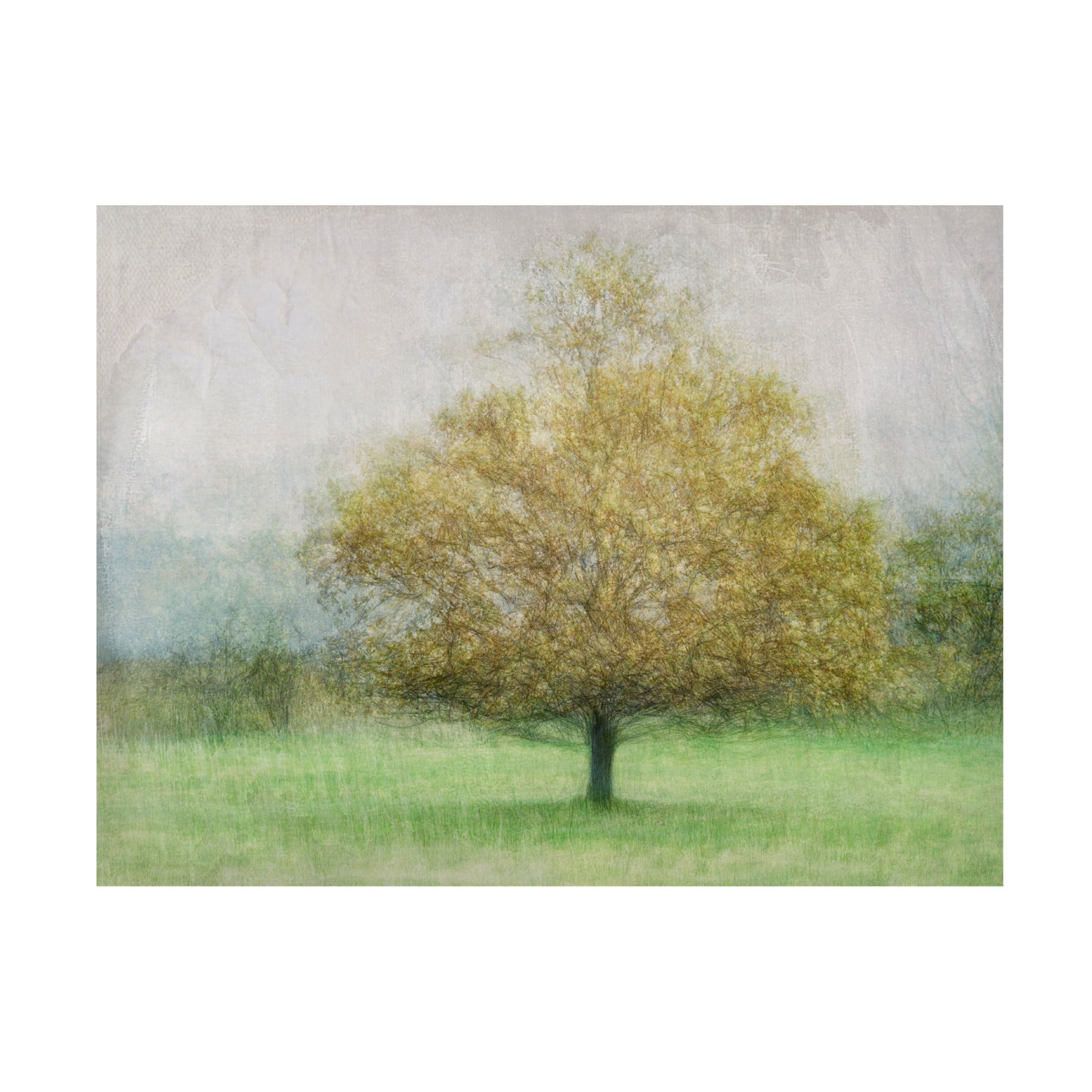 Canvas Wall Art - Katarina Holmstrom 'Solitaire' Wall Art for Living Room, Bedroom, or Office Décor by Trademark Fine Art - 32 x 24 Inches