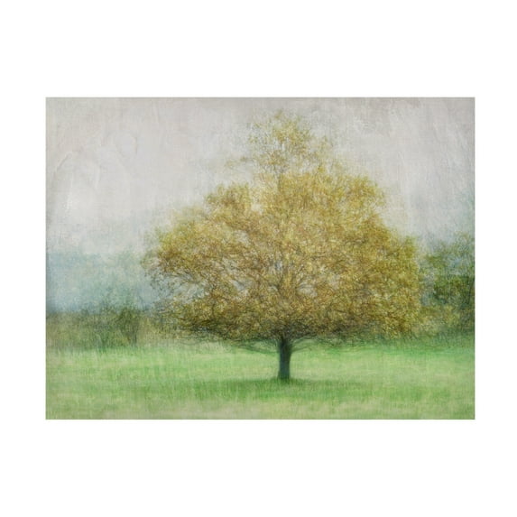 Canvas Wall Art - Katarina Holmstrom 'Solitaire' Wall Art for Living Room, Bedroom, or Office Décor by Trademark Fine Art - 47 x 35 Inches