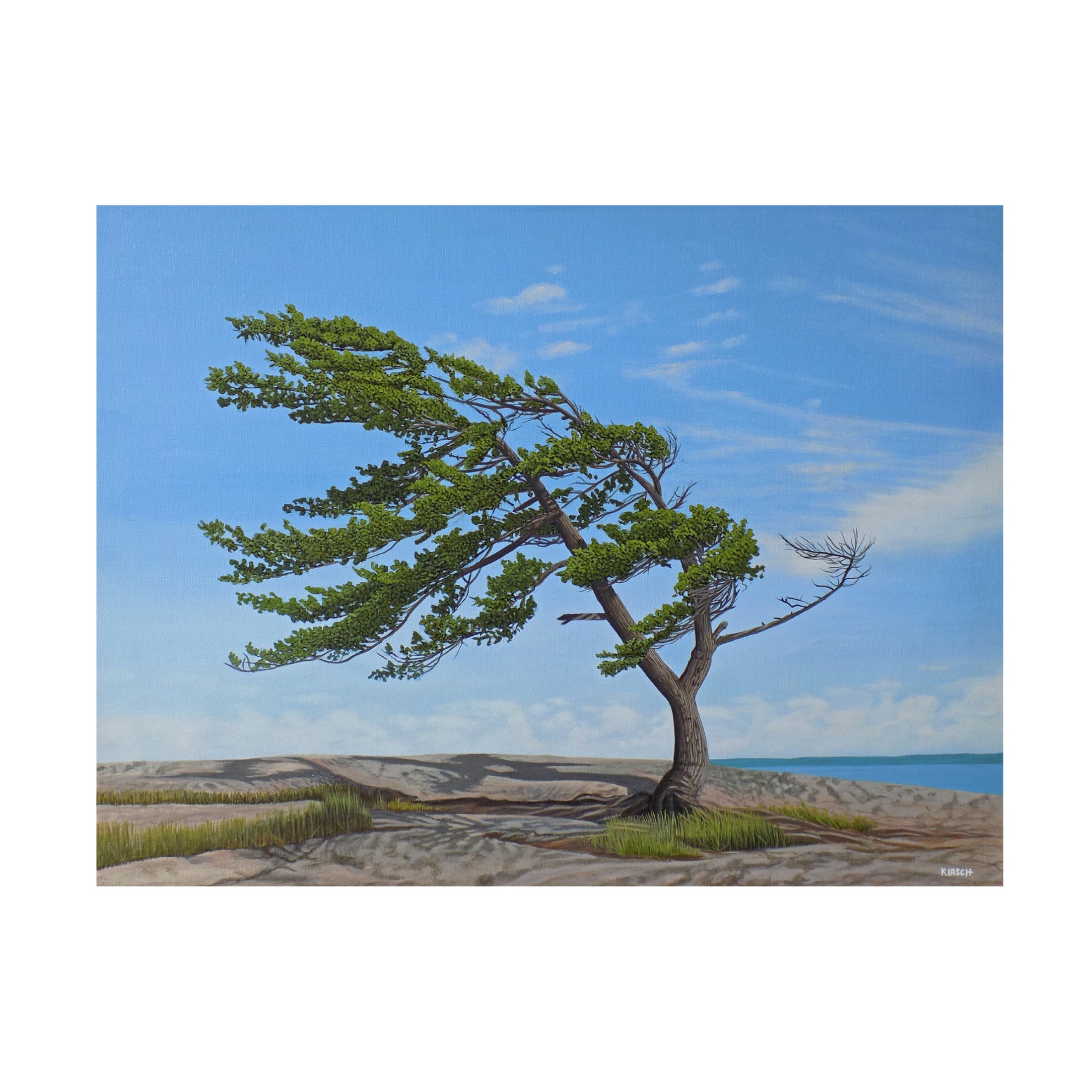 Canvas Wall Art - Kenneth M Kirsch 'Summer Wind 2018' Wall Art for Living Room, Bedroom, or Office Décor by Trademark Fine Art - 32 x 24 Inches