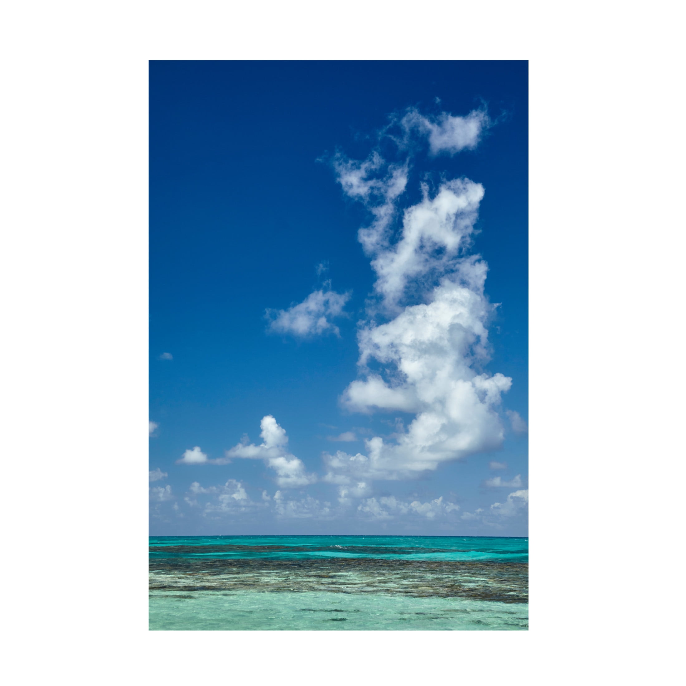 Canvas Wall Art - Kent Burkhardsmeier 'Coral Blue' Wall Art for Living Room, Bedroom, or Office Décor by Trademark Fine Art - 16 x 24 Inches