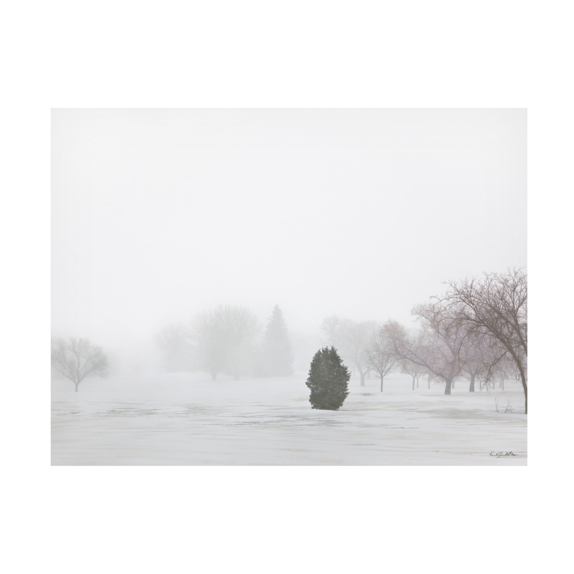 Canvas Wall Art - Kent Burkhardsmeier 'Growth' Wall Art for Living Room, Bedroom, or Office Décor by Trademark Fine Art - 24 x 18 Inches
