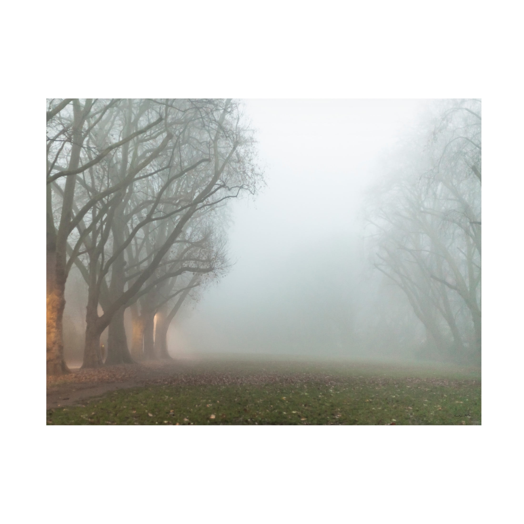 Canvas Wall Art - Kent Burkhardsmeier 'Intriguing Beginnings' Wall Art for Living Room, Bedroom, or Office Décor by Trademark Fine Art - 32 x 24 Inches