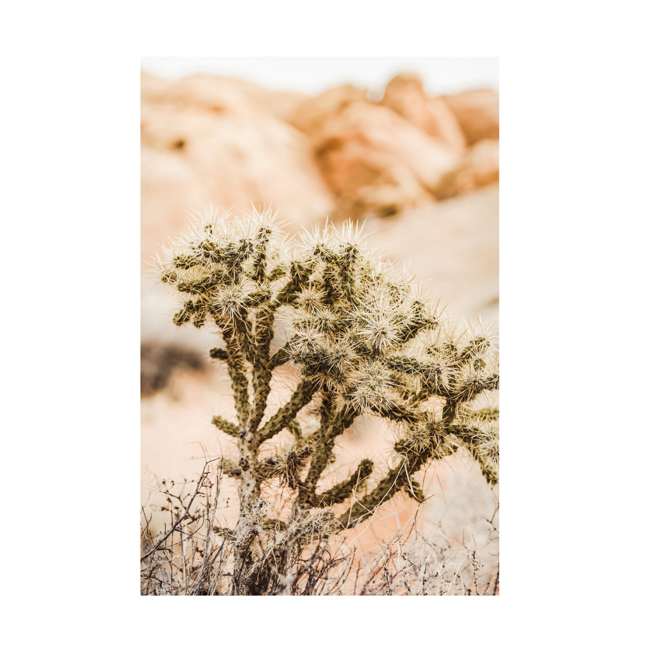 Canvas Wall Art - Krista Broadway 'Borjas' Wall Art for Living Room, Bedroom, or Office Décor by Trademark Fine Art - 16 x 24 Inches