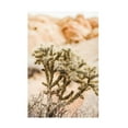 thumbnail image 1 of Canvas Wall Art - Krista Broadway 'Borjas' Wall Art for Living Room, Bedroom, or Office Décor by Trademark Fine Art - 22 x 32 Inches, 1 of 4