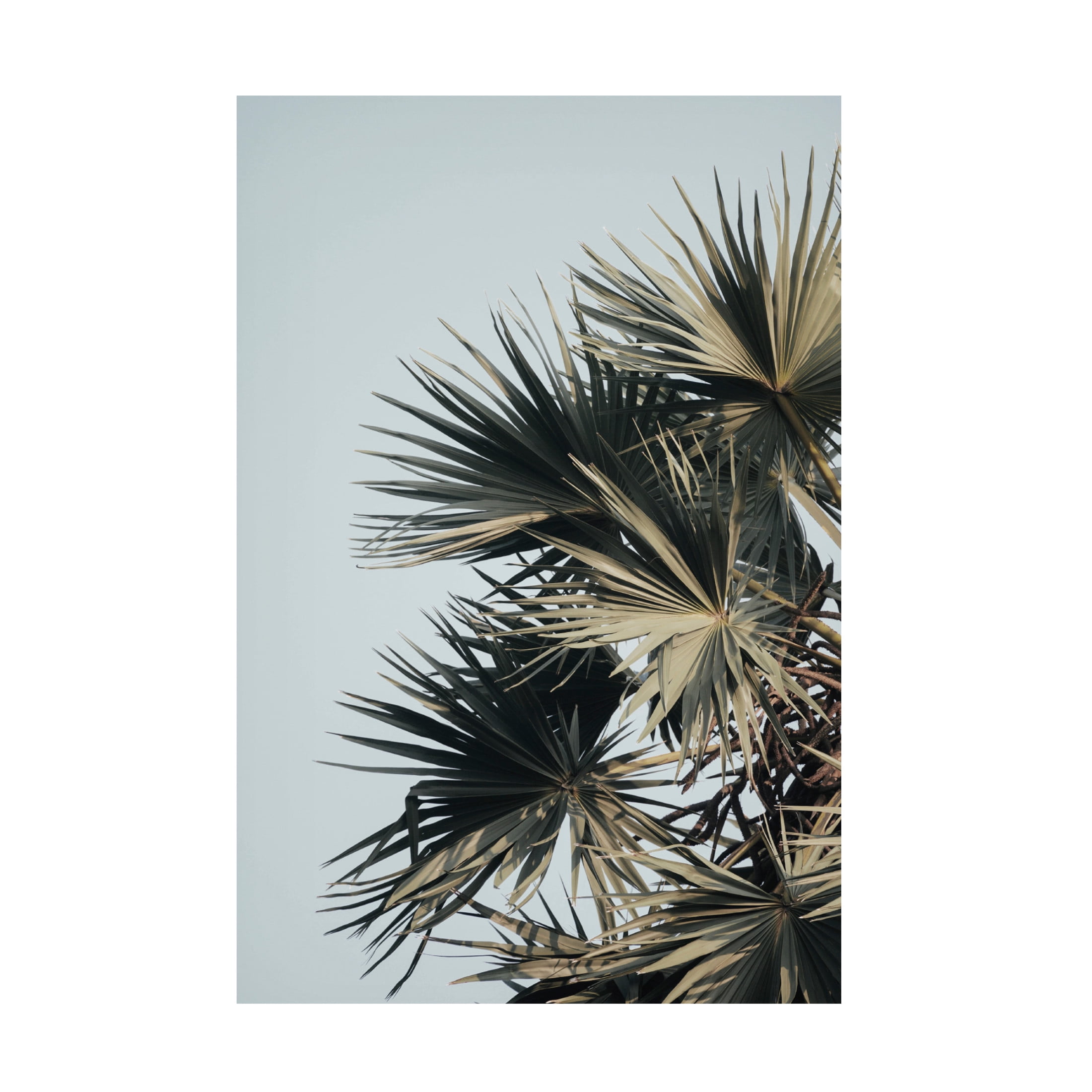 Canvas Wall Art - Krista Broadway 'Buxton' Wall Art for Living Room, Bedroom, or Office Décor by Trademark Fine Art - 22 x 32 Inches