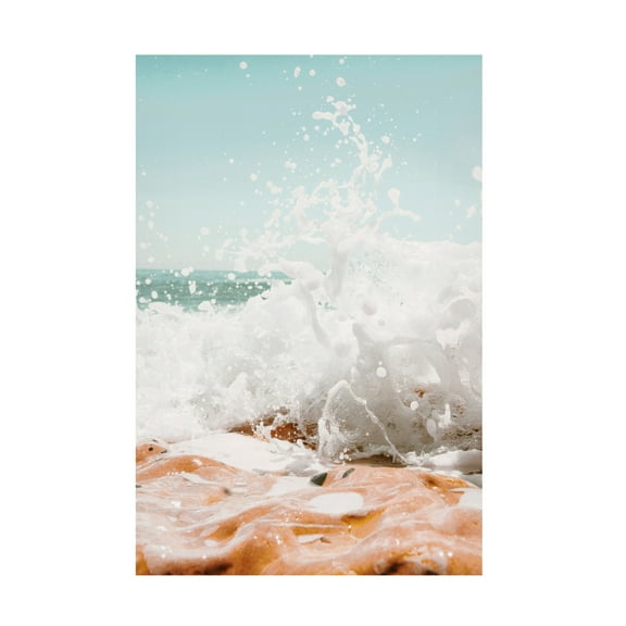 Canvas Wall Art - Krista Broadway 'Corozo' Wall Art for Living Room, Bedroom, or Office Décor by Trademark Fine Art - 12 x 19 Inches