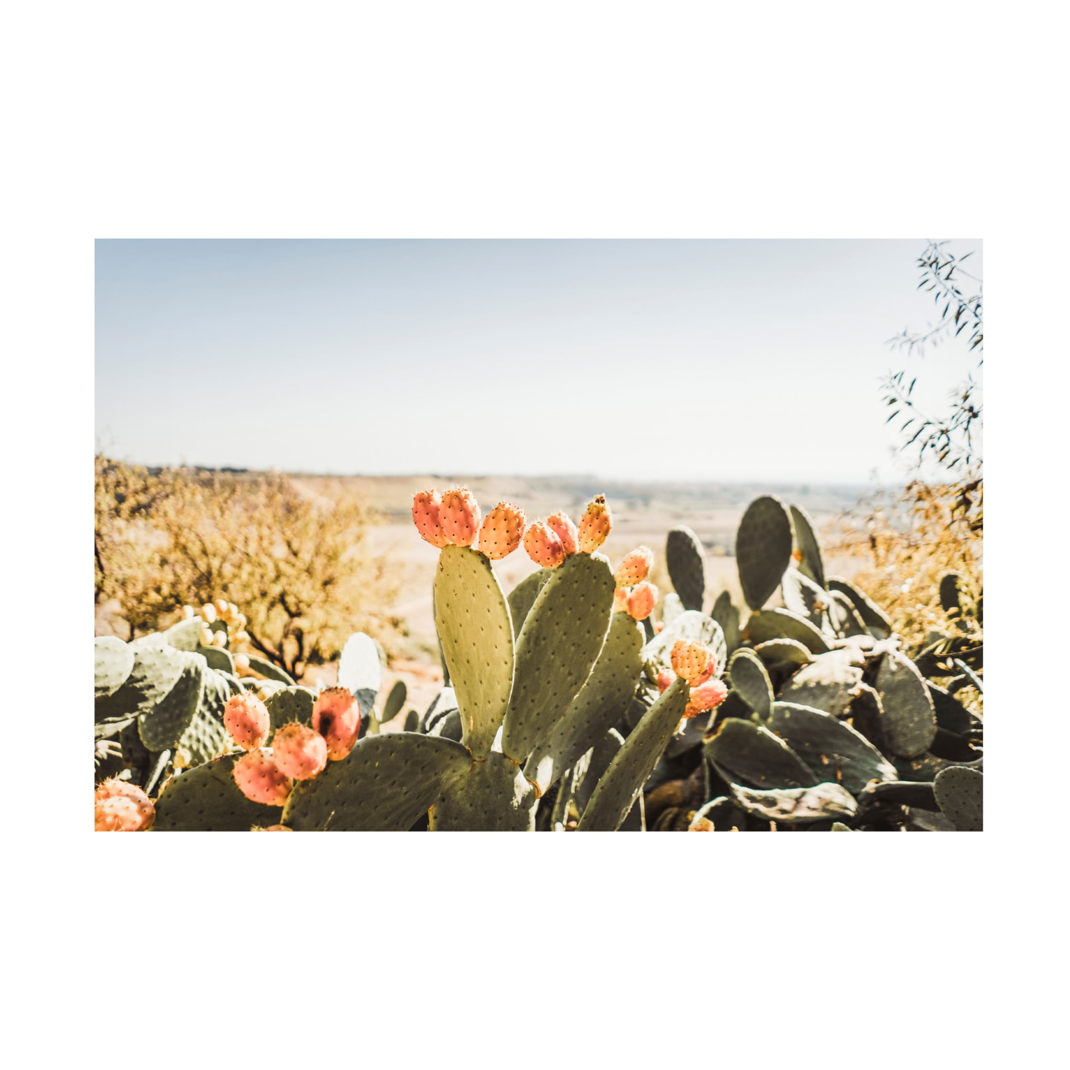 Canvas Wall Art - Krista Broadway 'Estero' Wall Art for Living Room, Bedroom, or Office Décor by Trademark Fine Art - 19 x 12 Inches