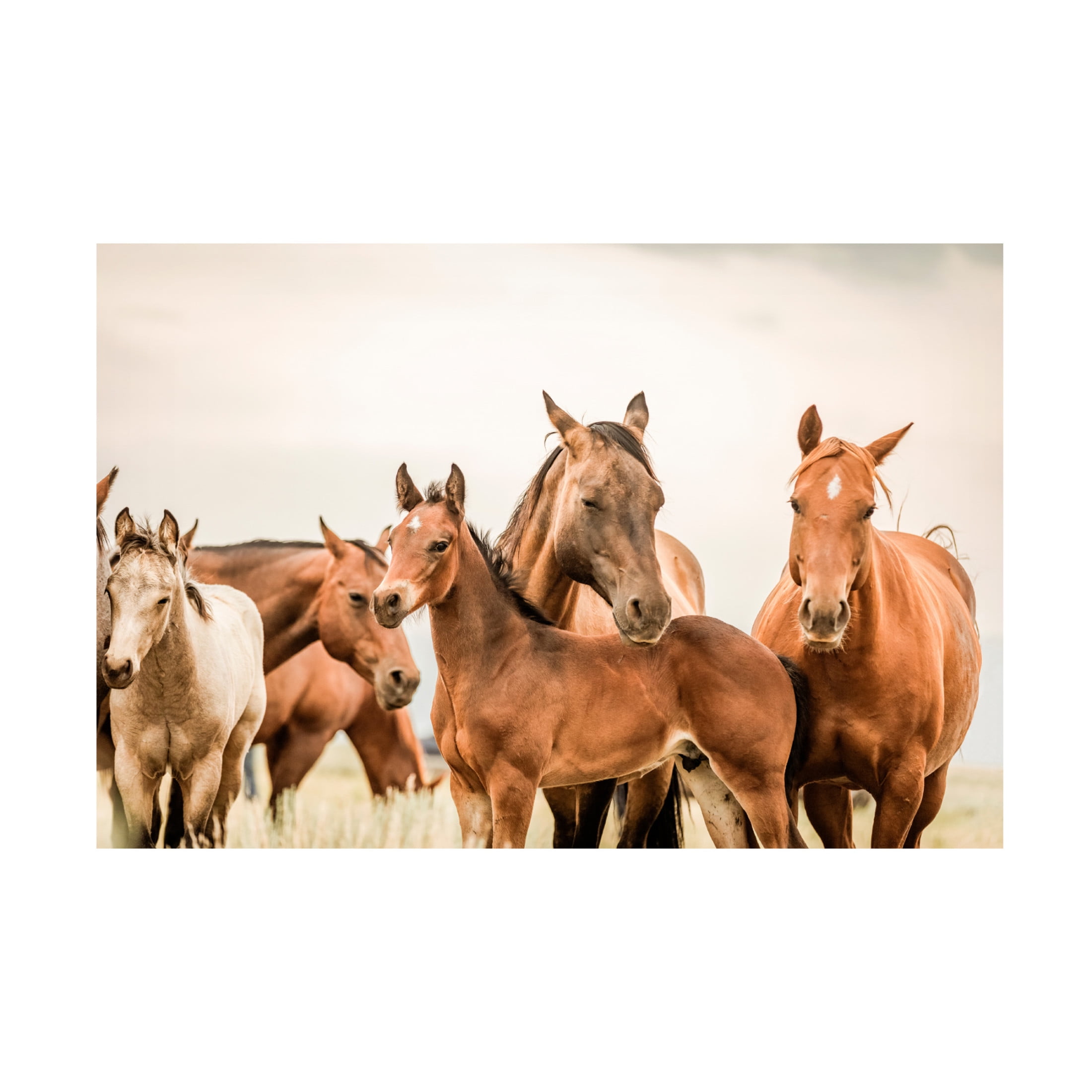 Canvas Wall Art - Krista Broadway 'Hartville' Wall Art for Living Room, Bedroom, or Office Décor by Trademark Fine Art - 19 x 12 Inches