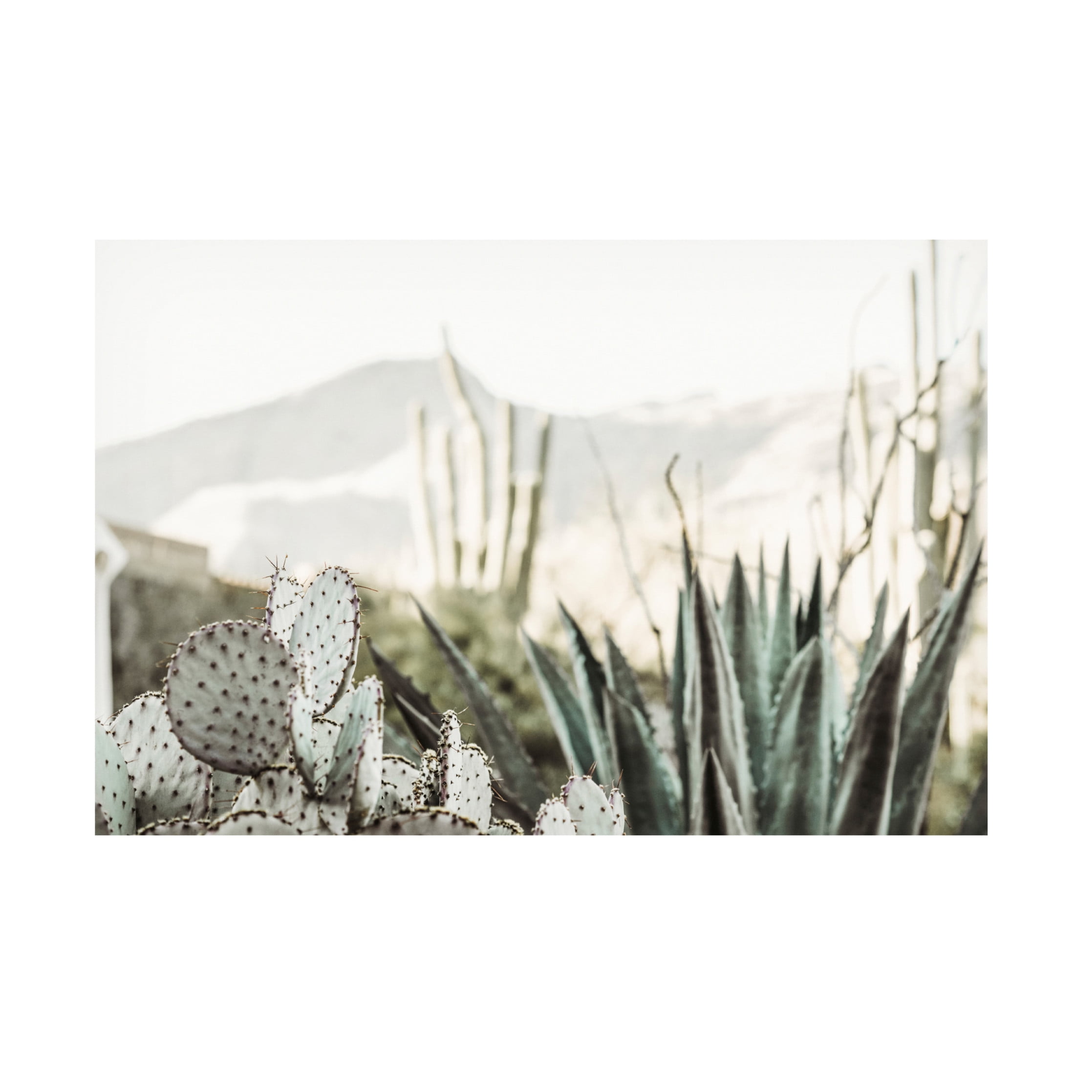 Canvas Wall Art - Krista Broadway 'Leon' Wall Art for Living Room, Bedroom, or Office Décor by Trademark Fine Art - 32 x 22 Inches