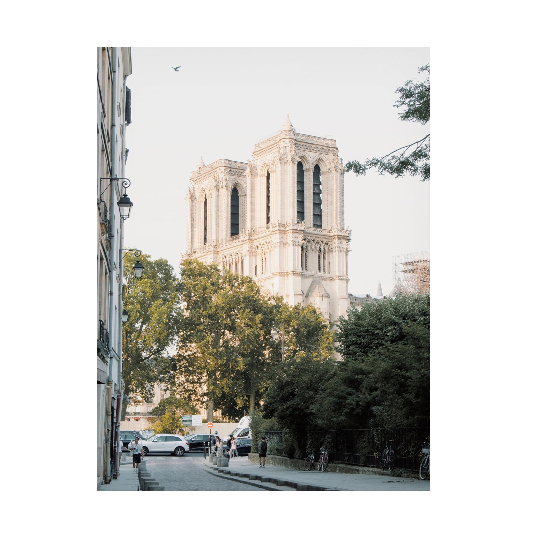 Canvas Wall Art - Krista Broadway 'Notre Dame' Wall Art for Living Room, Bedroom, or Office Décor by Trademark Fine Art - 24 x 32 Inches