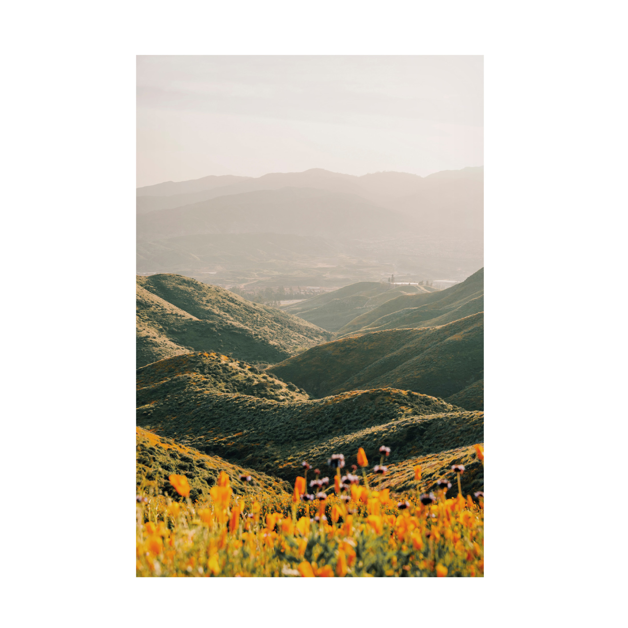 Canvas Wall Art - Krista Broadway 'Palomar' Wall Art for Living Room, Bedroom, or Office Décor by Trademark Fine Art - 12 x 19 Inches