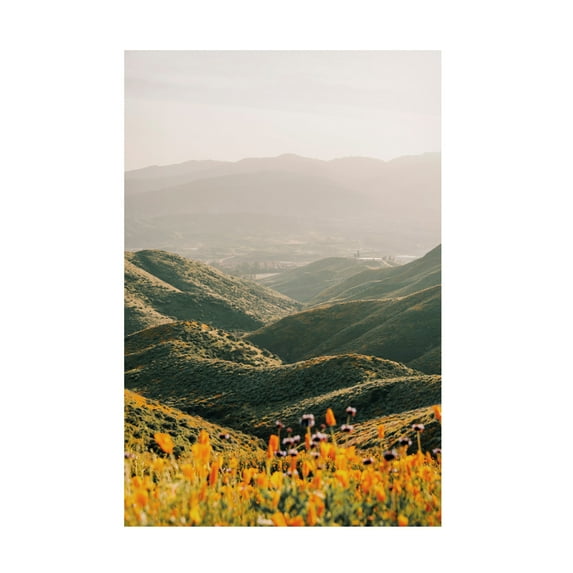 Canvas Wall Art - Krista Broadway 'Palomar' Wall Art for Living Room, Bedroom, or Office Décor by Trademark Fine Art - 12 x 19 Inches