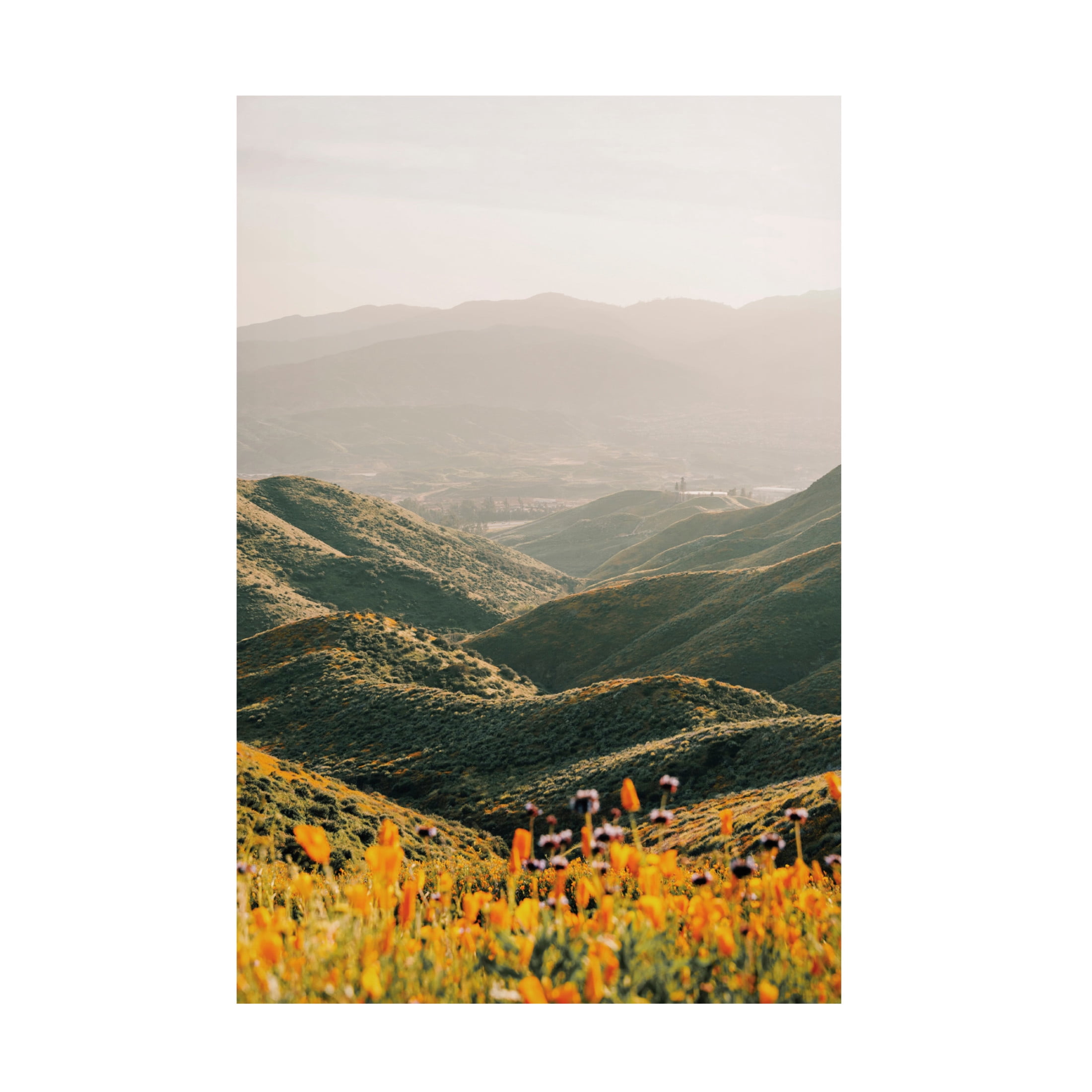 Canvas Wall Art - Krista Broadway 'Palomar' Wall Art for Living Room, Bedroom, or Office Décor by Trademark Fine Art - 22 x 32 Inches