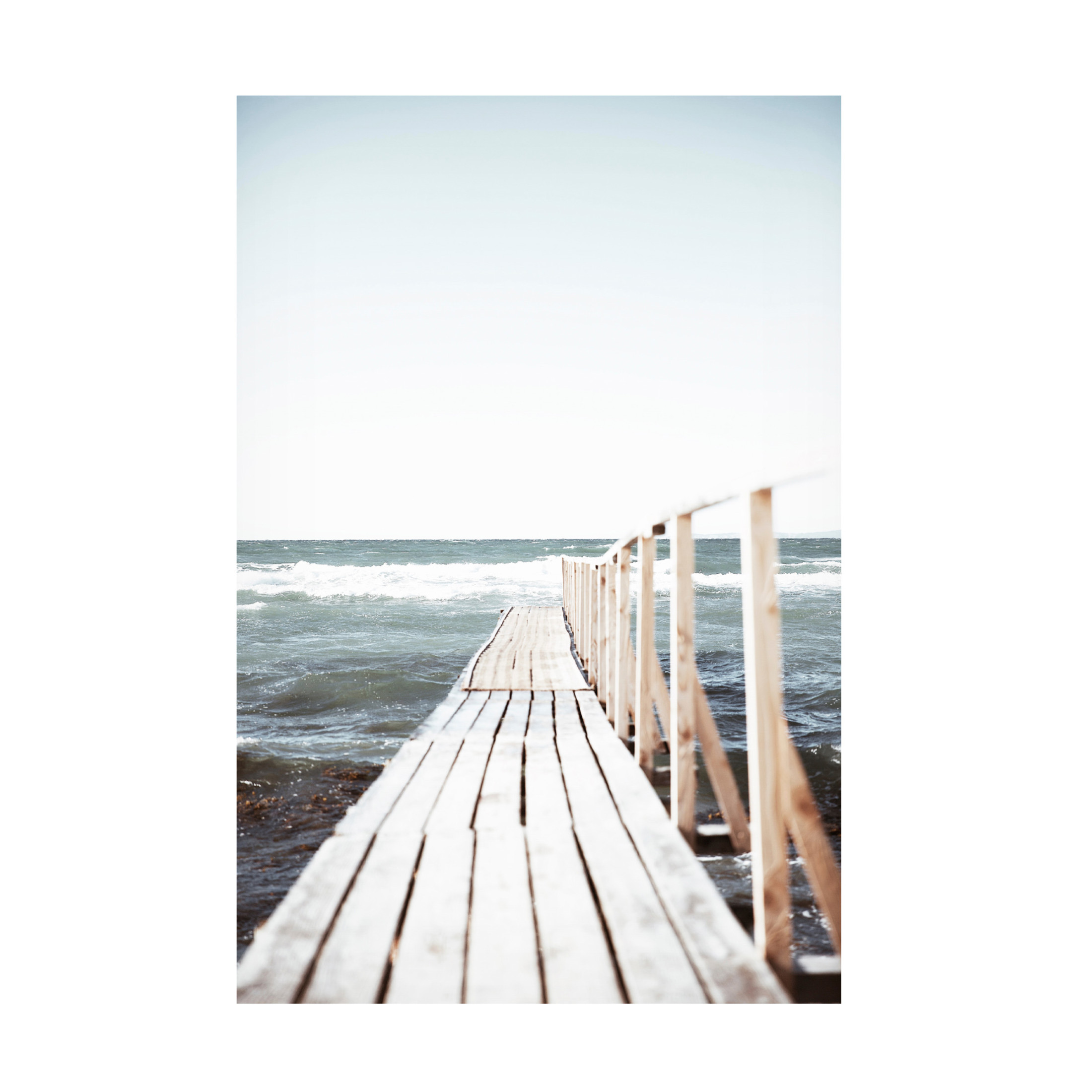 Canvas Wall Art - Krista Broadway 'Shelby' Wall Art for Living Room, Bedroom, or Office Décor by Trademark Fine Art - 22 x 32 Inches