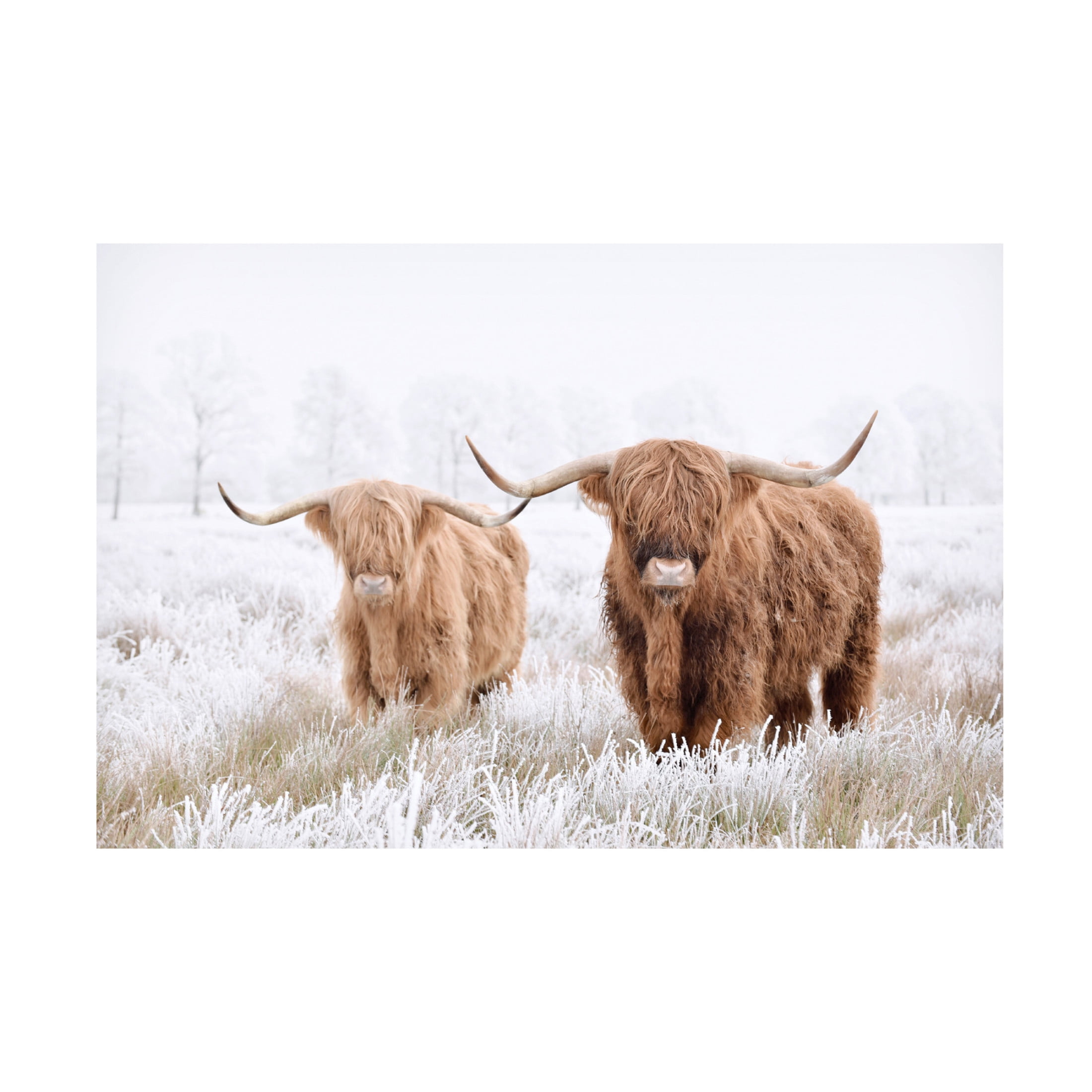 Canvas Wall Art - Krista Broadway 'Springfield' Wall Art for Living Room, Bedroom, or Office Décor by Trademark Fine Art - 47 x 30 Inches