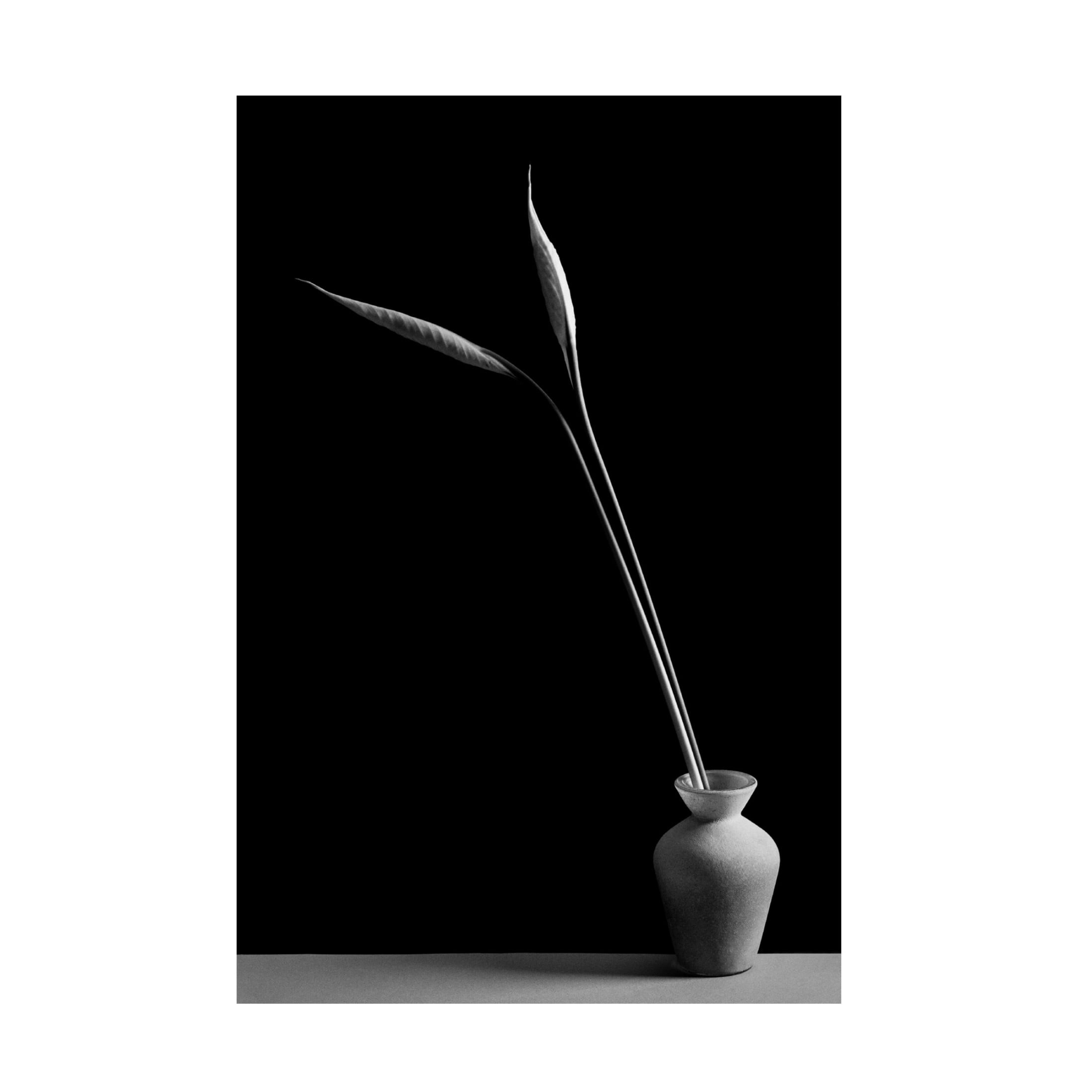 Canvas Wall Art - Kristina Oveckova 'Double' Wall Art for Living Room, Bedroom, or Office D?cor by Trademark Fine Art - 22 x 32 Inches