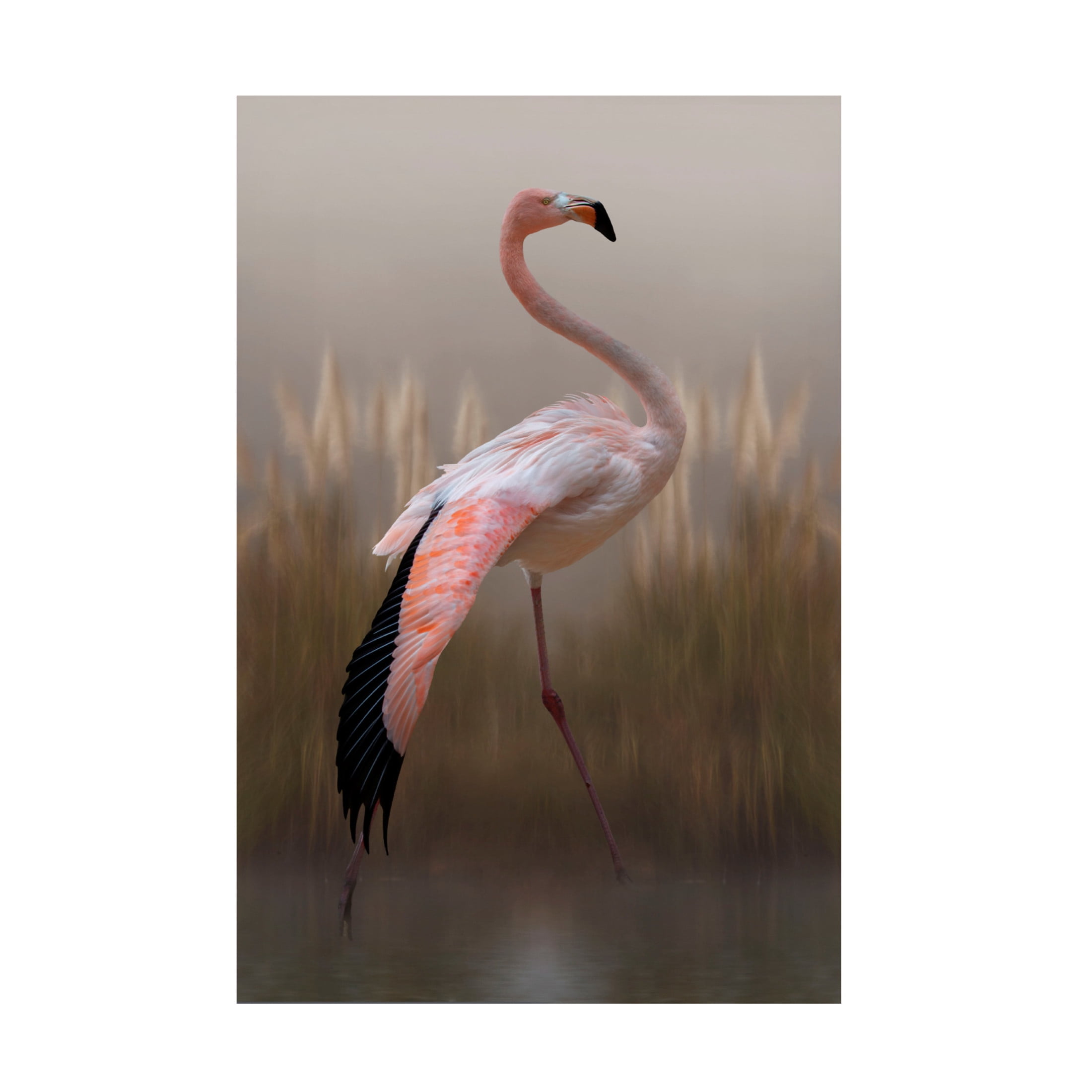 Canvas Wall Art - Krystina Wisniowska 'Grace' Wall Art for Living Room, Bedroom, or Office Décor by Trademark Fine Art - 22 x 32 Inches
