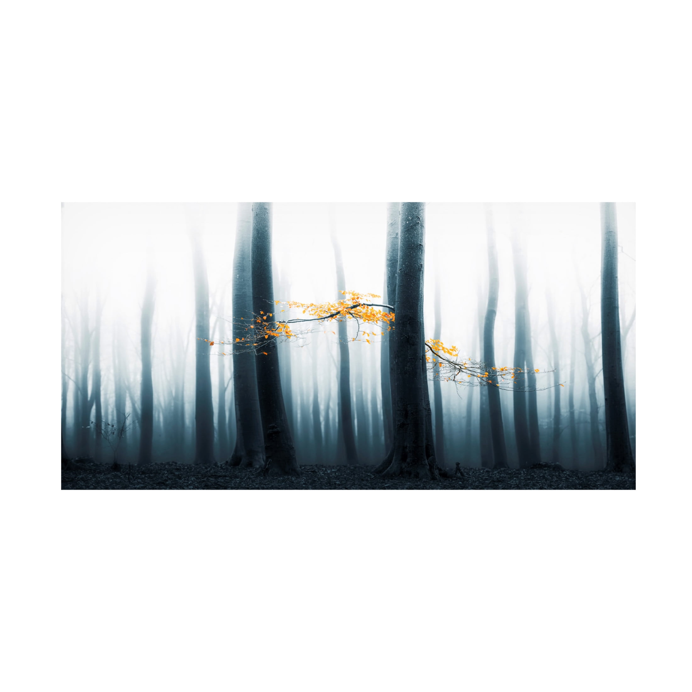 Canvas Wall Art - Lars van de 'Speulder Revisited' Wall Art for Living Room, Bedroom, or Office D?cor by Trademark Fine Art - 19 x 10 Inches