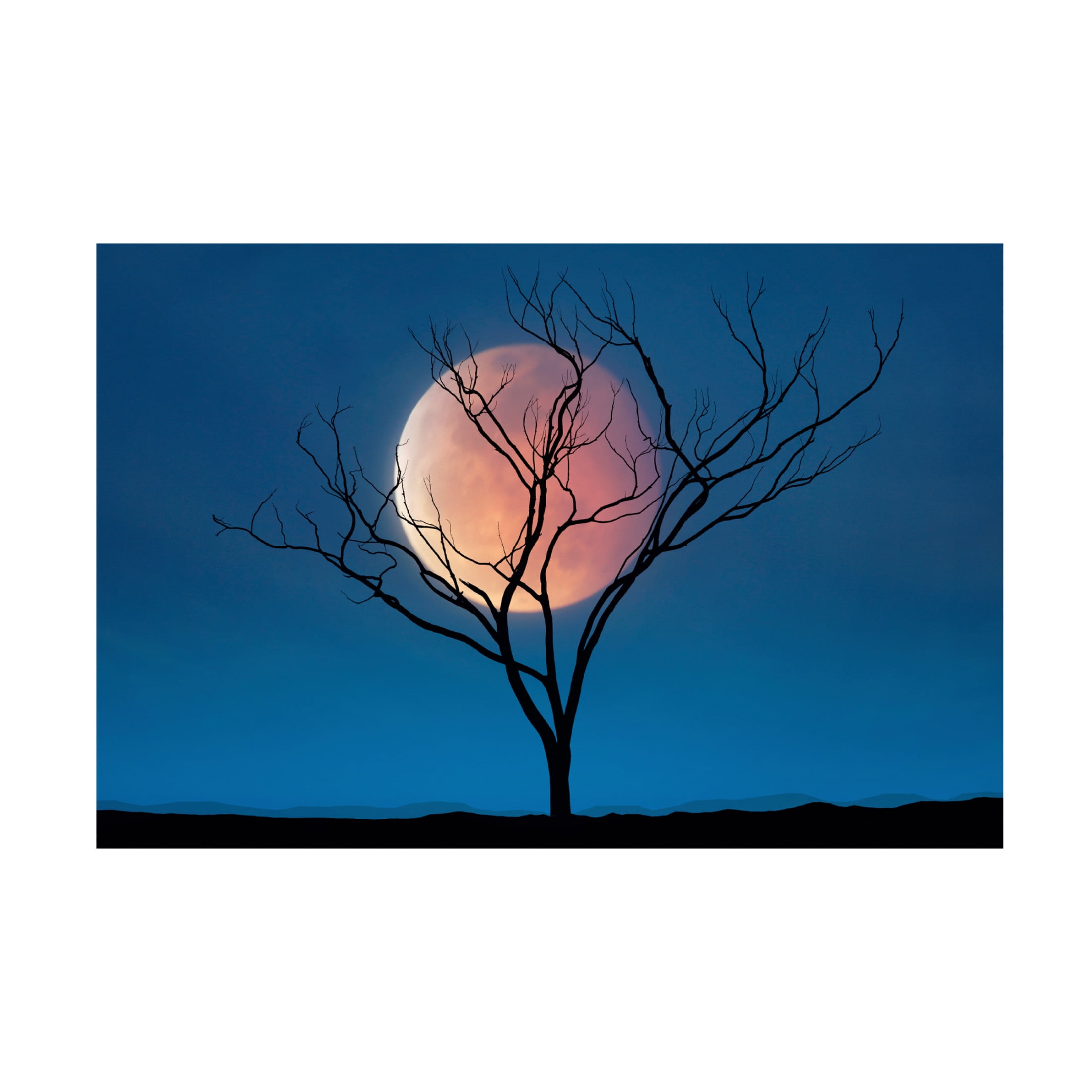 Canvas Wall Art - Lee Sie 'Celestial Affair II' Wall Art for Living Room, Bedroom, or Office Décor by Trademark Fine Art - 19 x 12 Inches